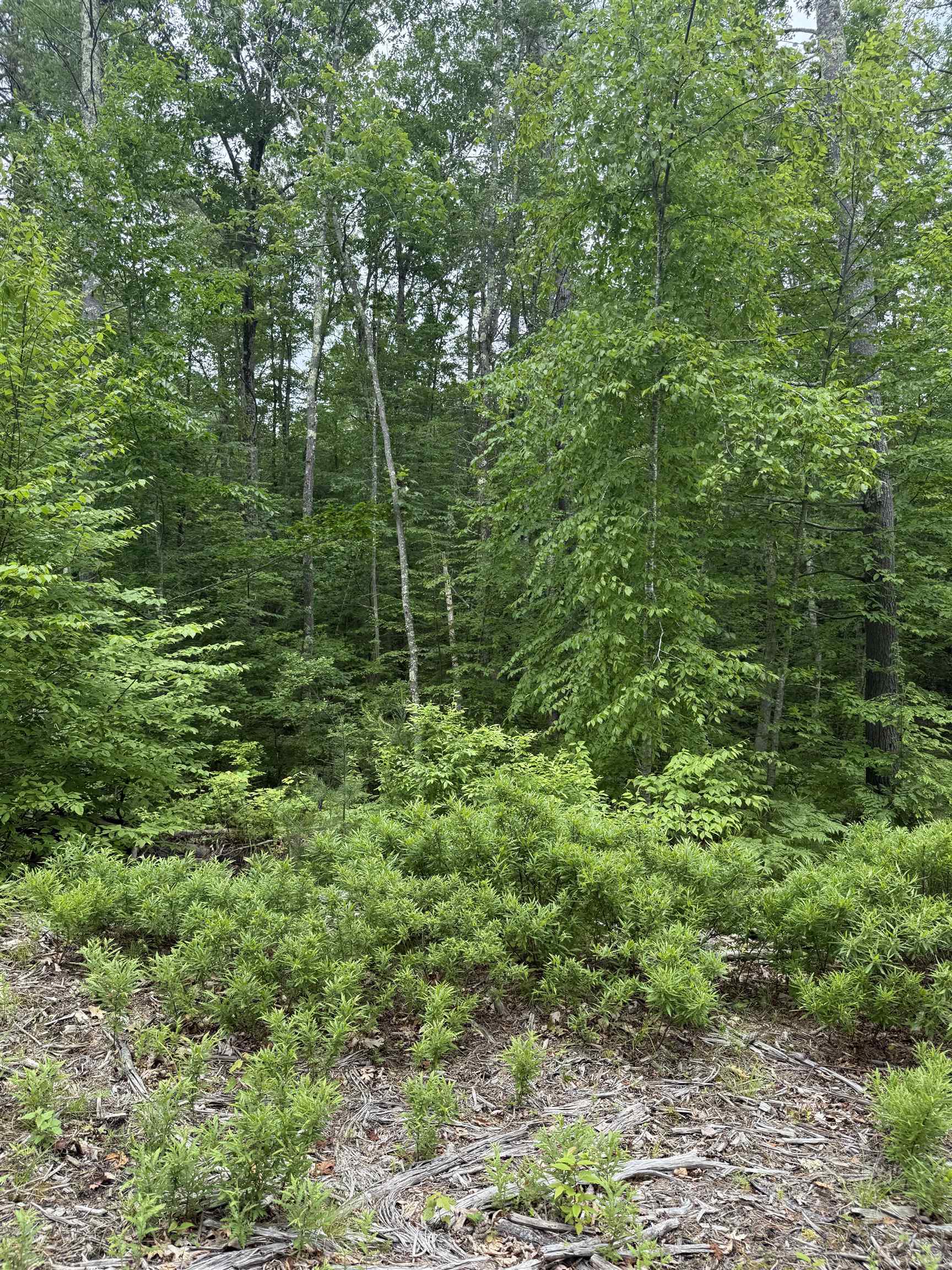 Homes for sale in Barrington, NH | 217-13 Washington St, Barrington, NH 03825 | MLS# 5045876