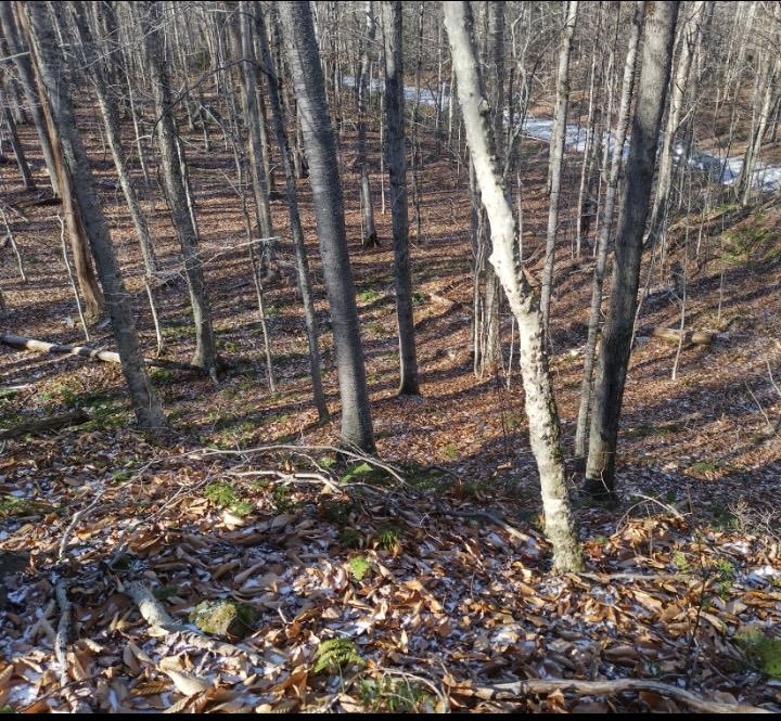 Homes for sale in Washington, NH | 335 Coolidge Dr, Washington, NH 03280 | MLS# 5045952