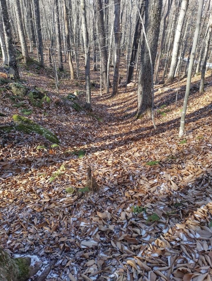 Homes for sale in Washington, NH | 335 Coolidge Dr, Washington, NH 03280 | MLS# 5045952