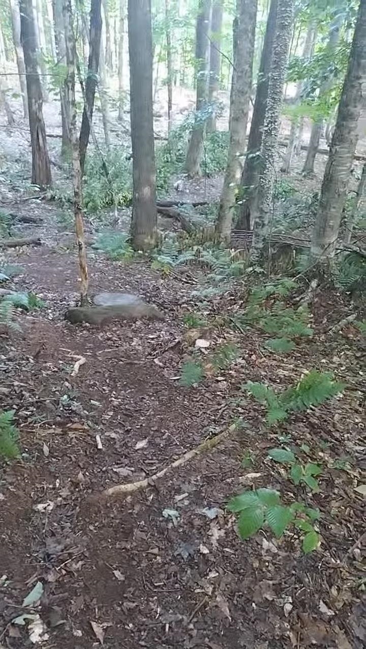 Homes for sale in Washington, NH | 335 Coolidge Dr, Washington, NH 03280 | MLS# 5045952