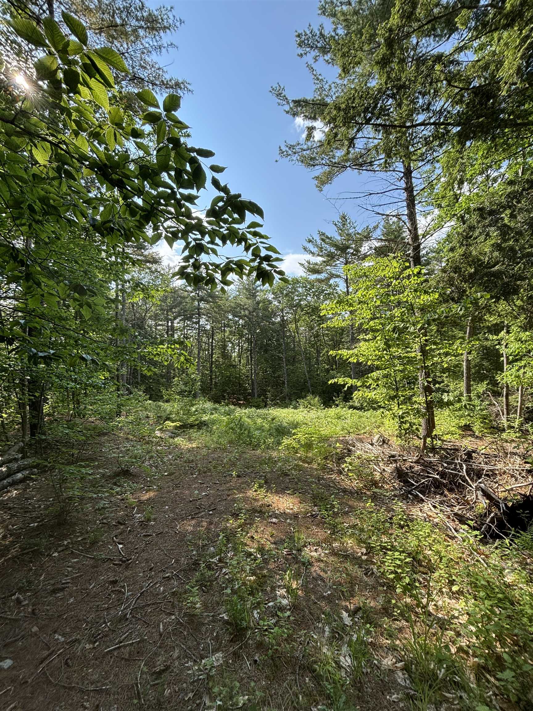 Homes for sale in Conway, NH | 00 Davis Hill Rd, Conway, NH 03813 | MLS# 5046013