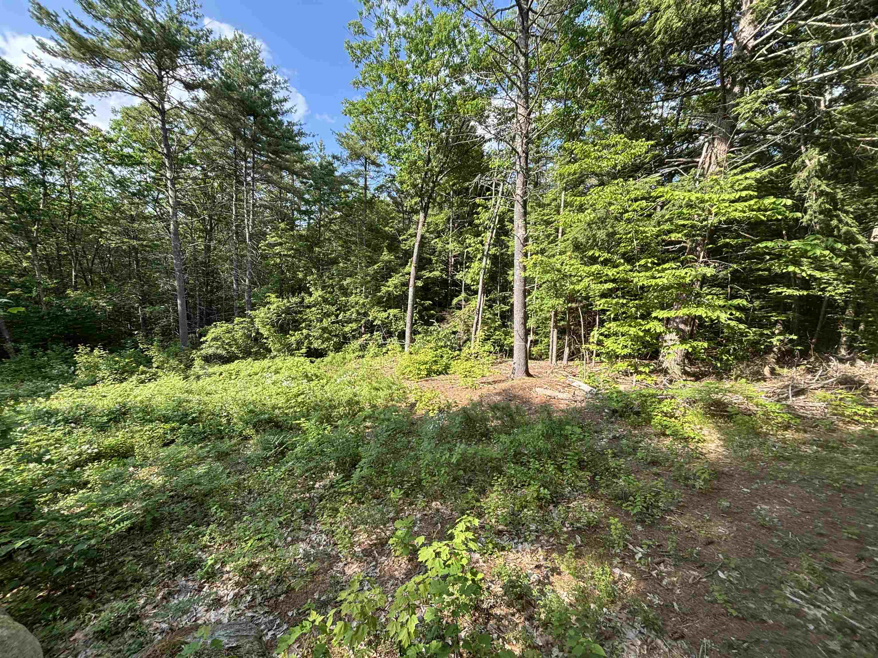 Homes for sale in Conway, NH | 00 Davis Hill Rd, Conway, NH 03813 | MLS# 5046013