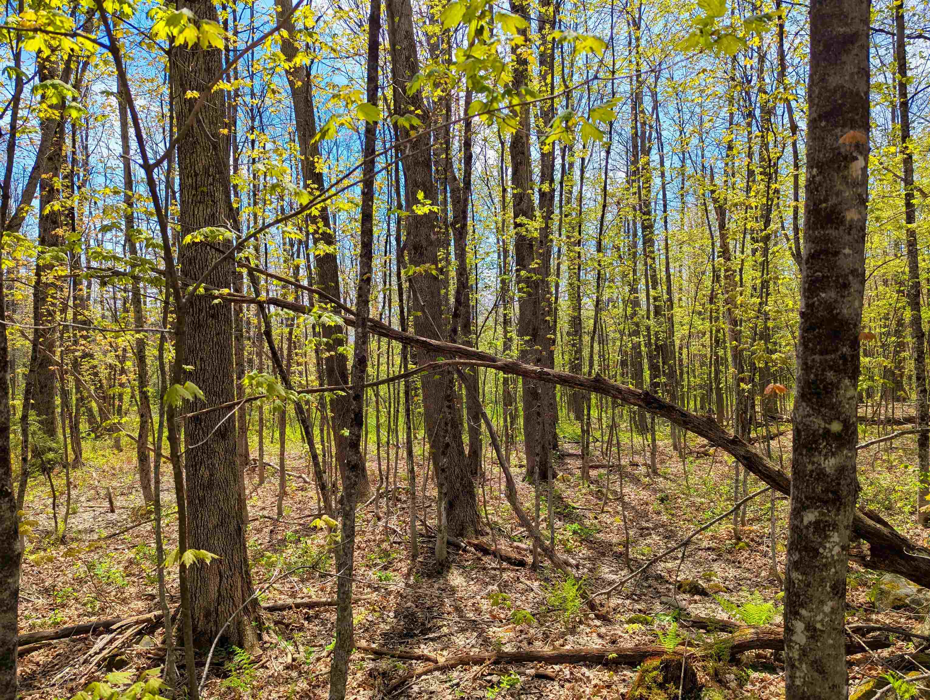 Homes for sale in Dover, VT | 4 Antler Loop, Dover, VT 05356 | MLS# 5046018