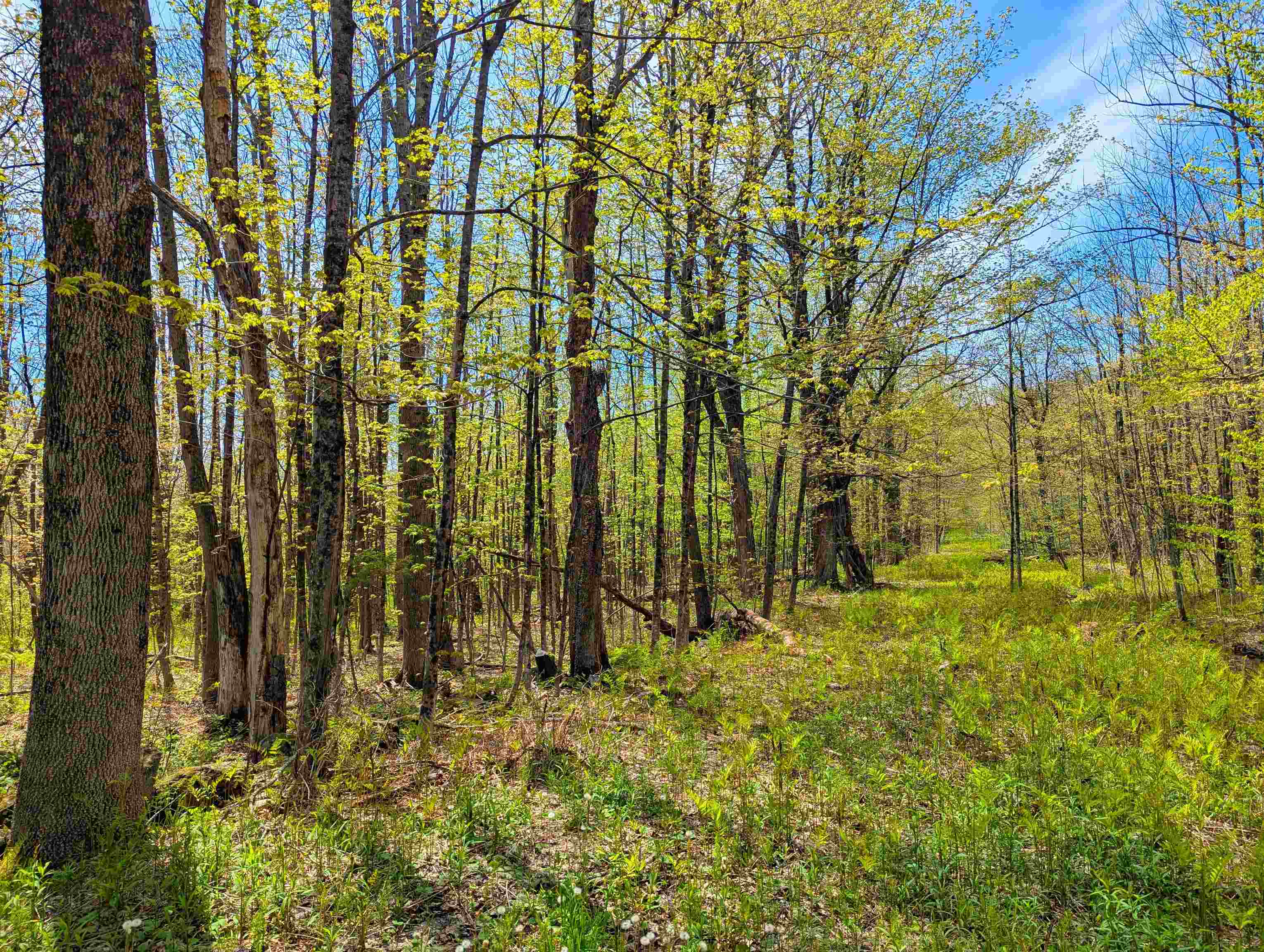 Homes for sale in Dover, VT | 4 Antler Loop, Dover, VT 05356 | MLS# 5046018