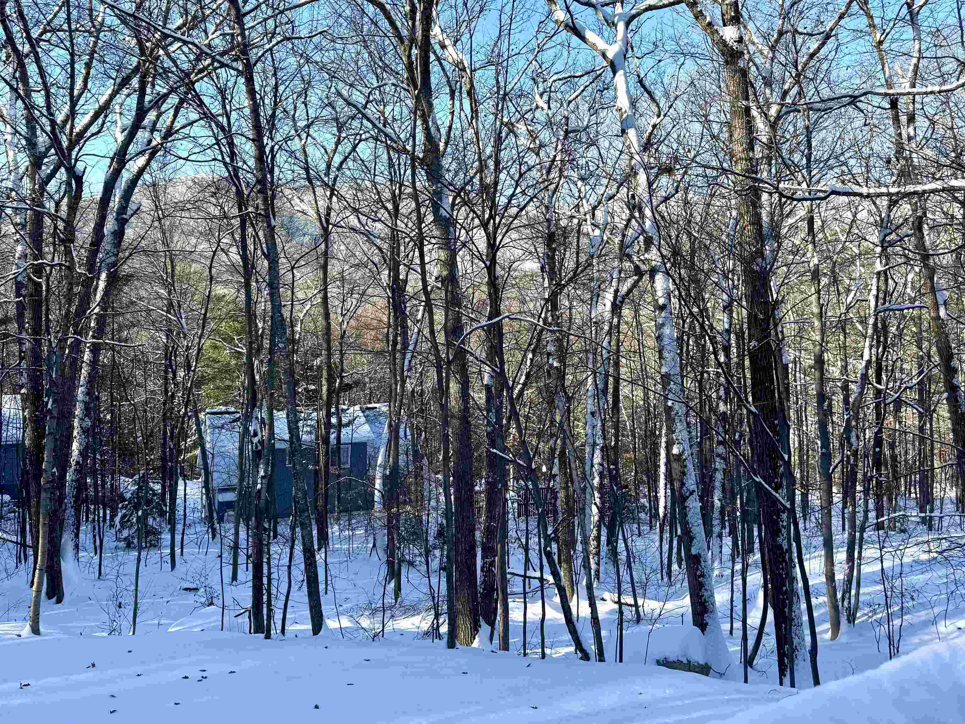 Homes for sale in Conway, NH | 262 Beechnut Dr, Conway, NH 03860 | MLS# 5046071