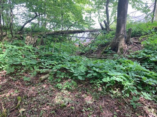 Homes for sale in North Hero, VT | 3125 Butler Island East, North Hero, VT 05474 | MLS# 5046086