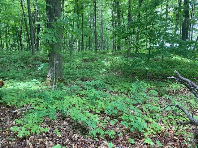 Homes for sale in North Hero, VT | 3125 Butler Island East, North Hero, VT 05474 | MLS# 5046086