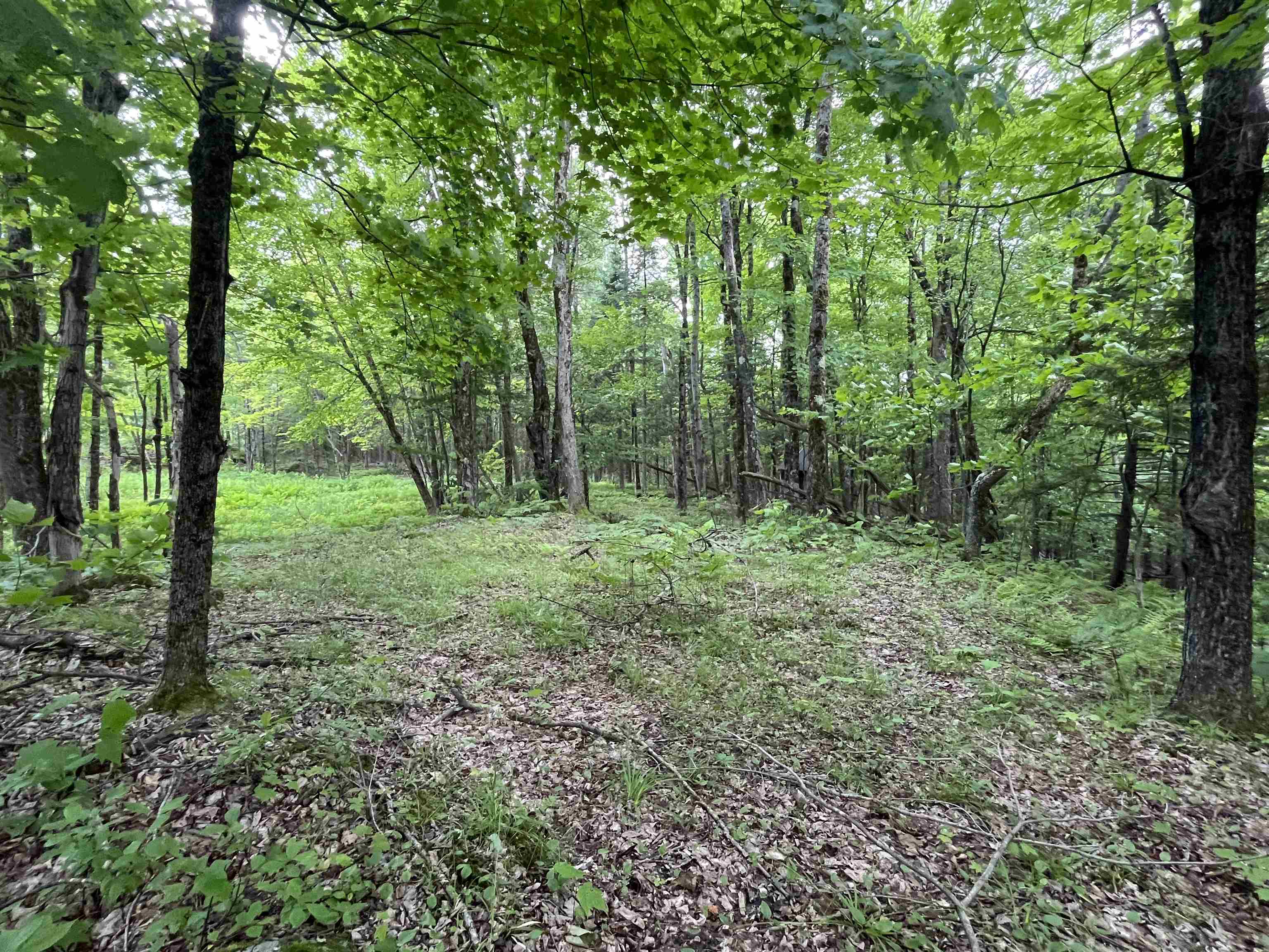 Homes for sale in Lowell, VT | 00 Guyette Rd, Lowell, VT 05872 | MLS# 5046141