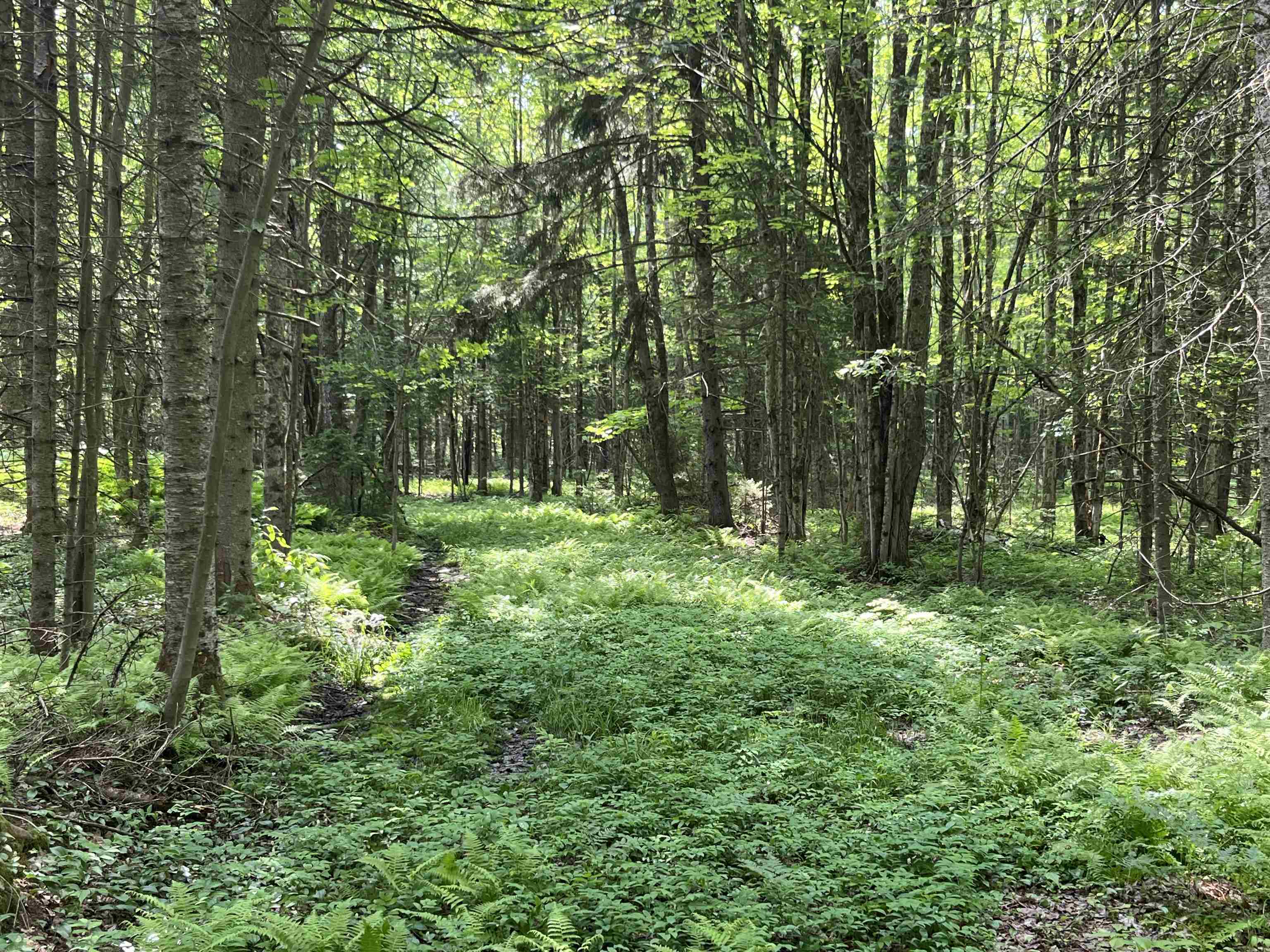 Homes for sale in Lowell, VT | 00 Guyette Rd, Lowell, VT 05872 | MLS# 5046141