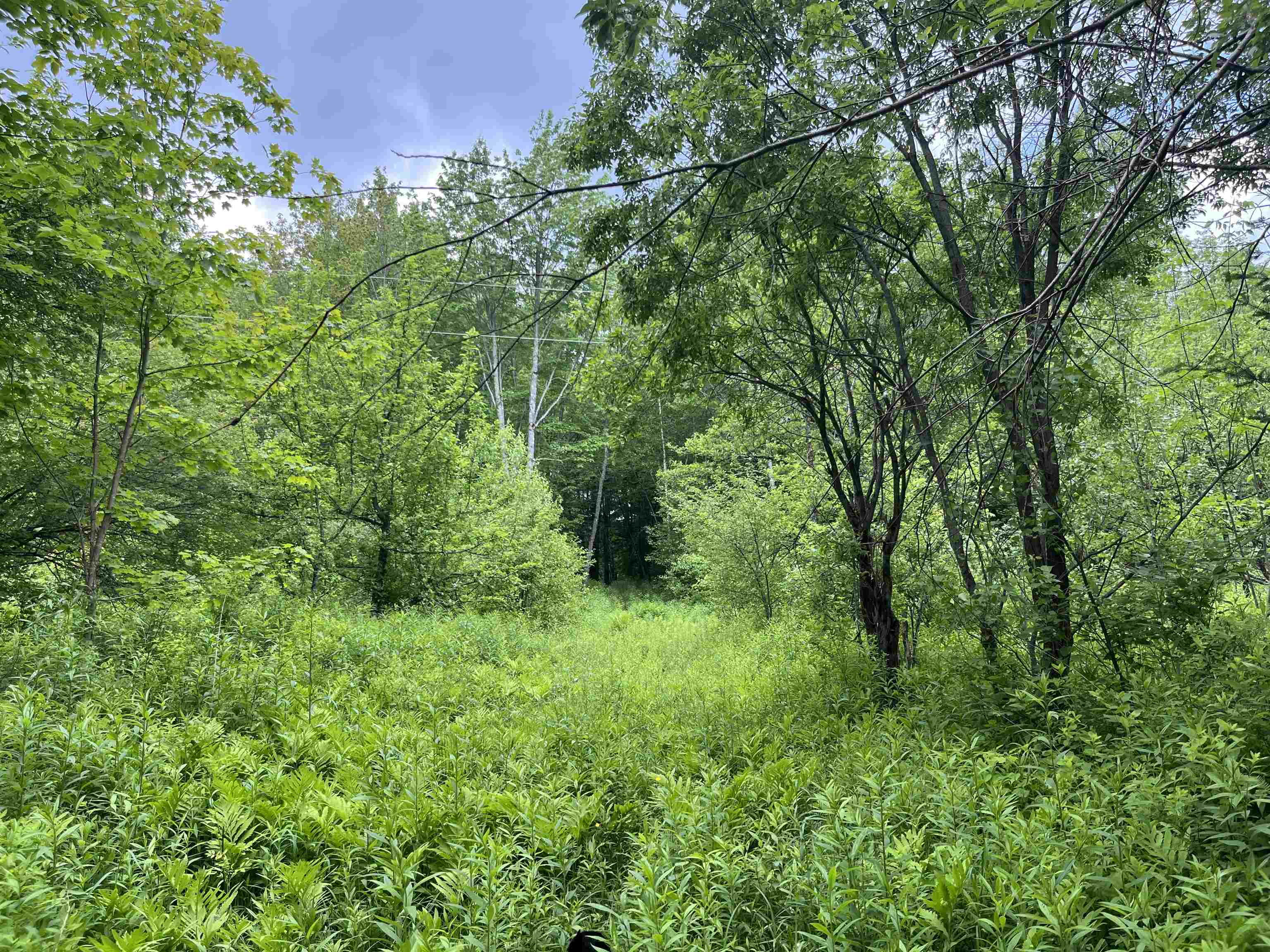 Homes for sale in Lowell, VT | 00 Guyette Rd, Lowell, VT 05872 | MLS# 5046141