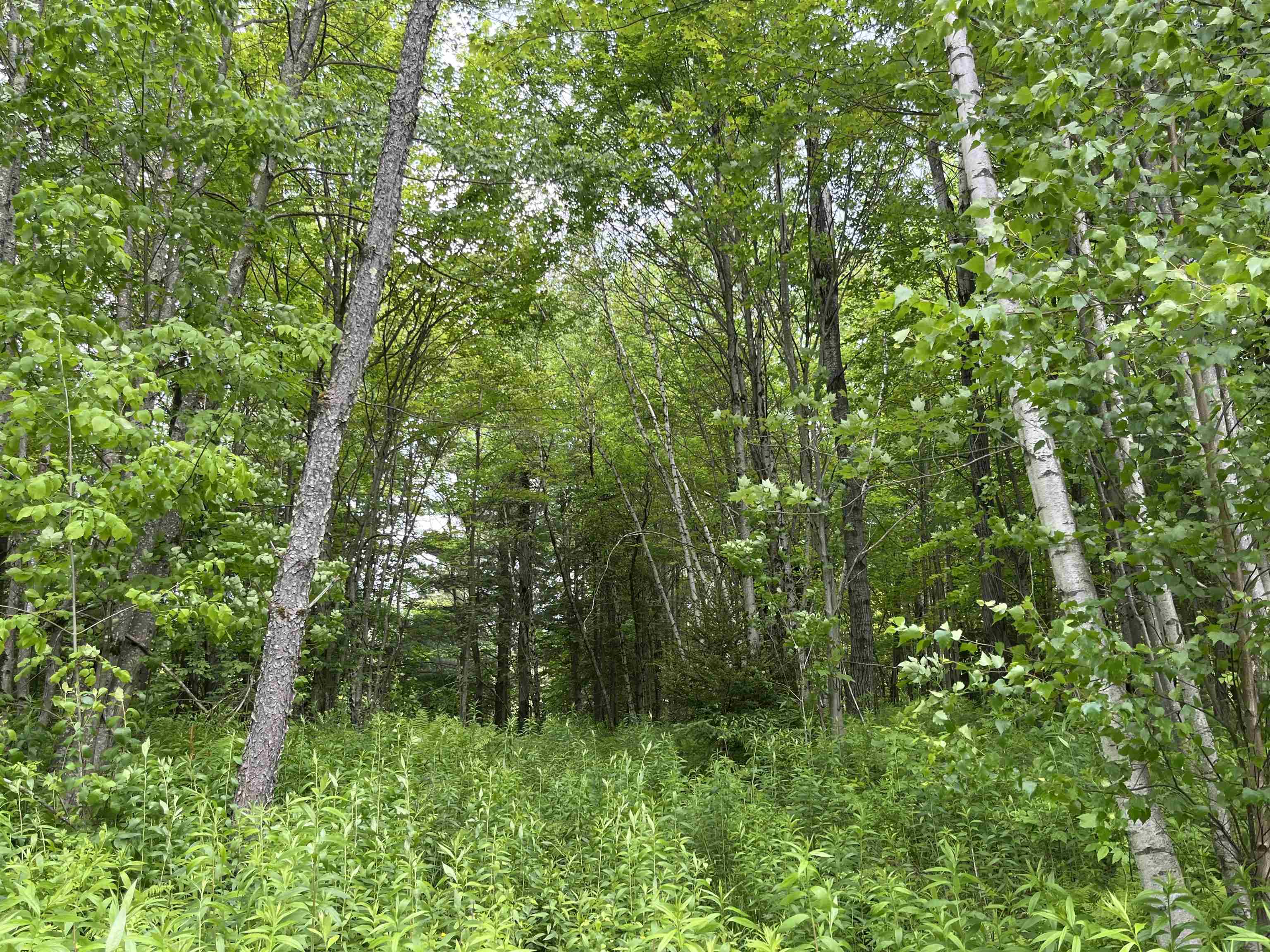 Homes for sale in Lowell, VT | 00 Guyette Rd, Lowell, VT 05872 | MLS# 5046141