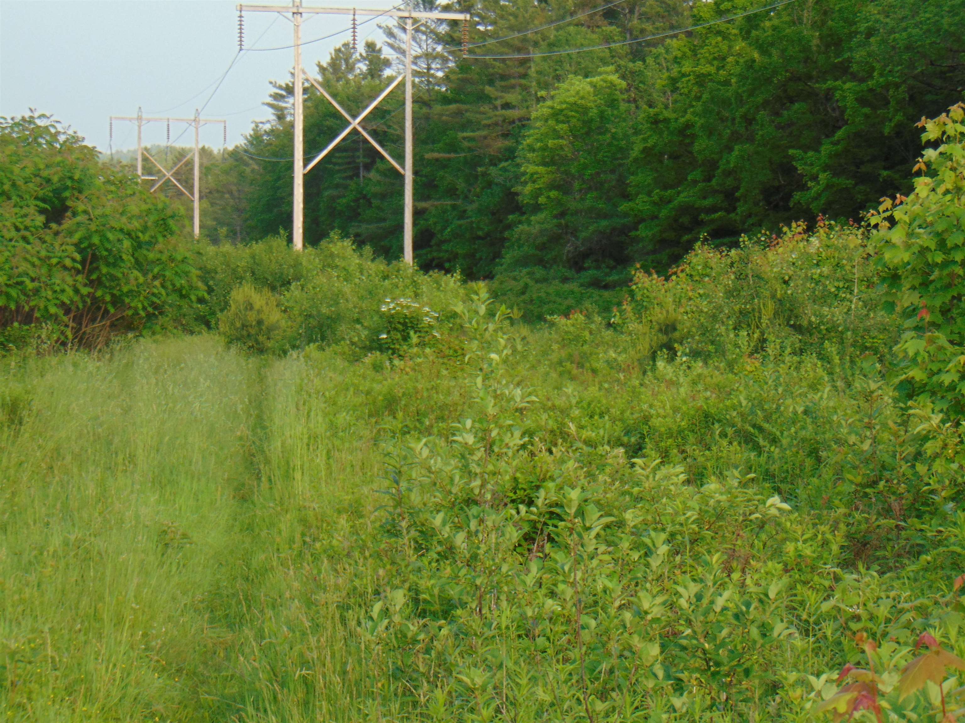 Homes for sale in Concord, VT | 0 Walker Pit Rd, Concord, VT 05824 | MLS# 5046282