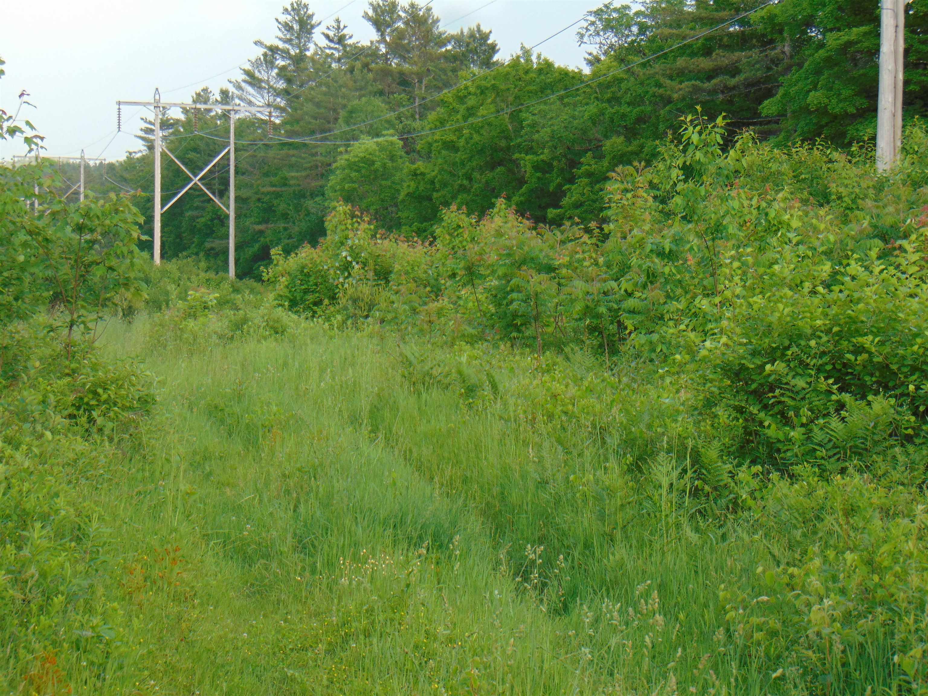 Homes for sale in Concord, VT | 0 Walker Pit Rd, Concord, VT 05824 | MLS# 5046282