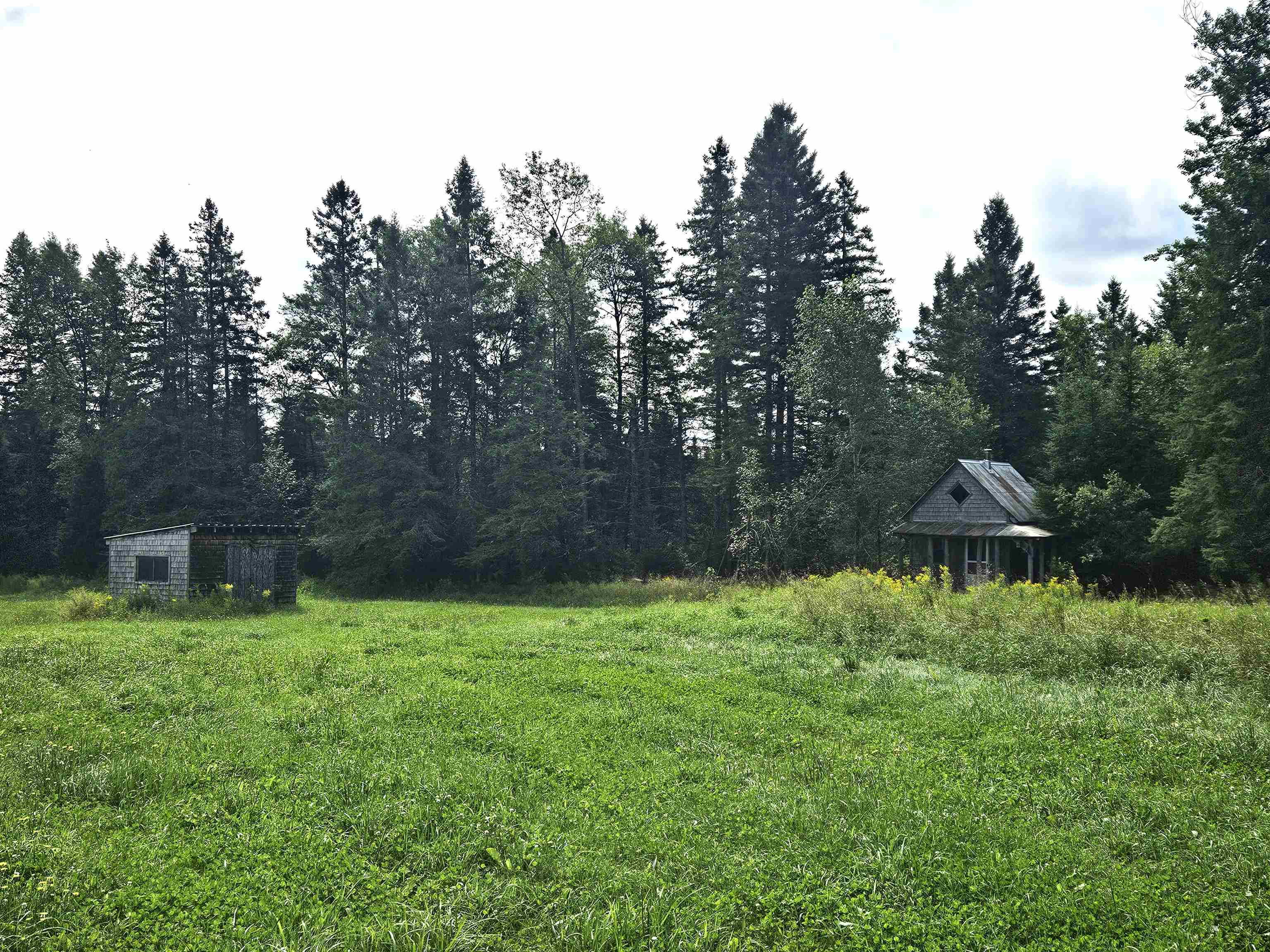   Click for more details  