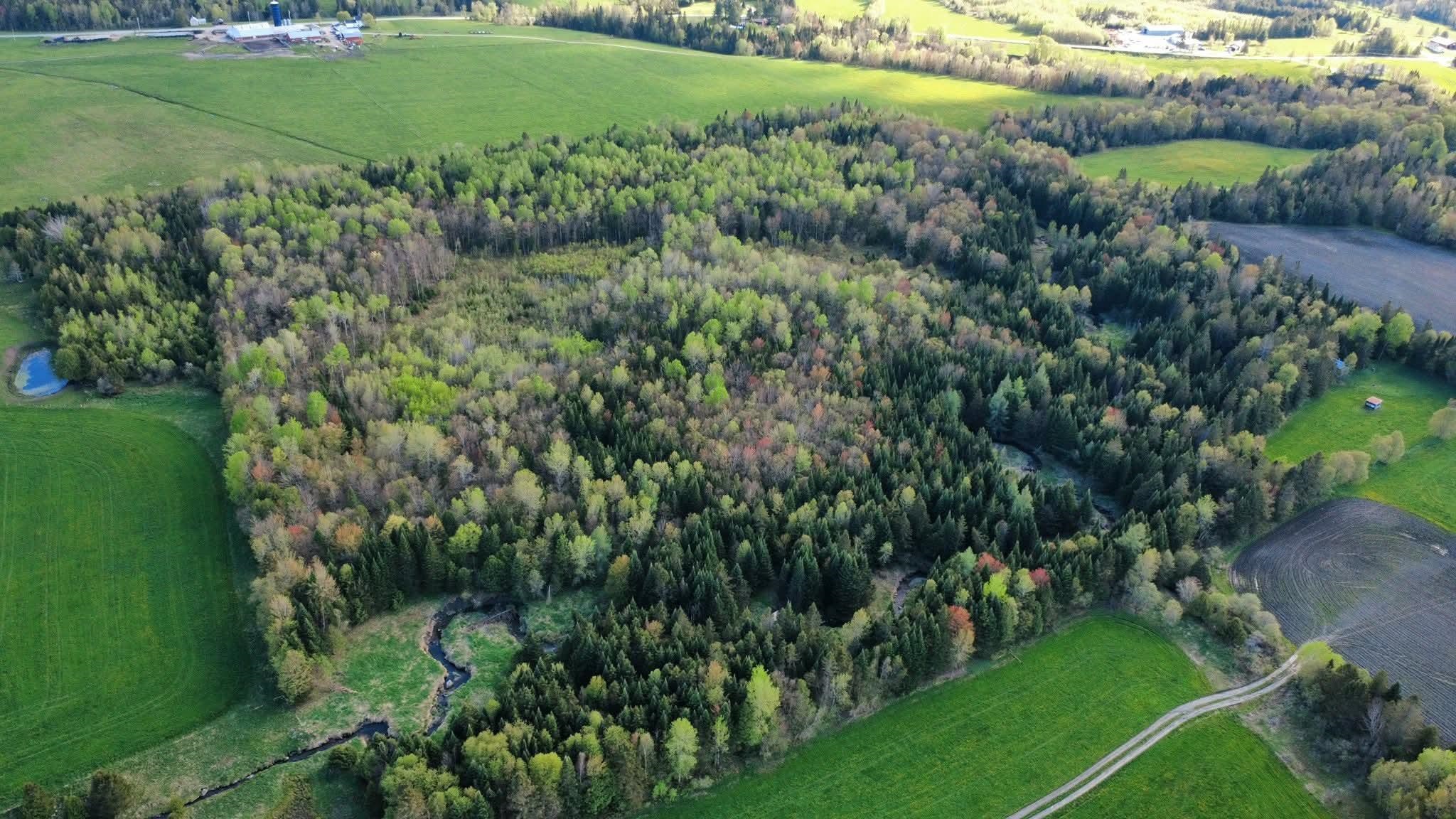 Homes for sale in Holland, VT | 0 Andrews Rd, Holland, VT 05830 | MLS# 5046314