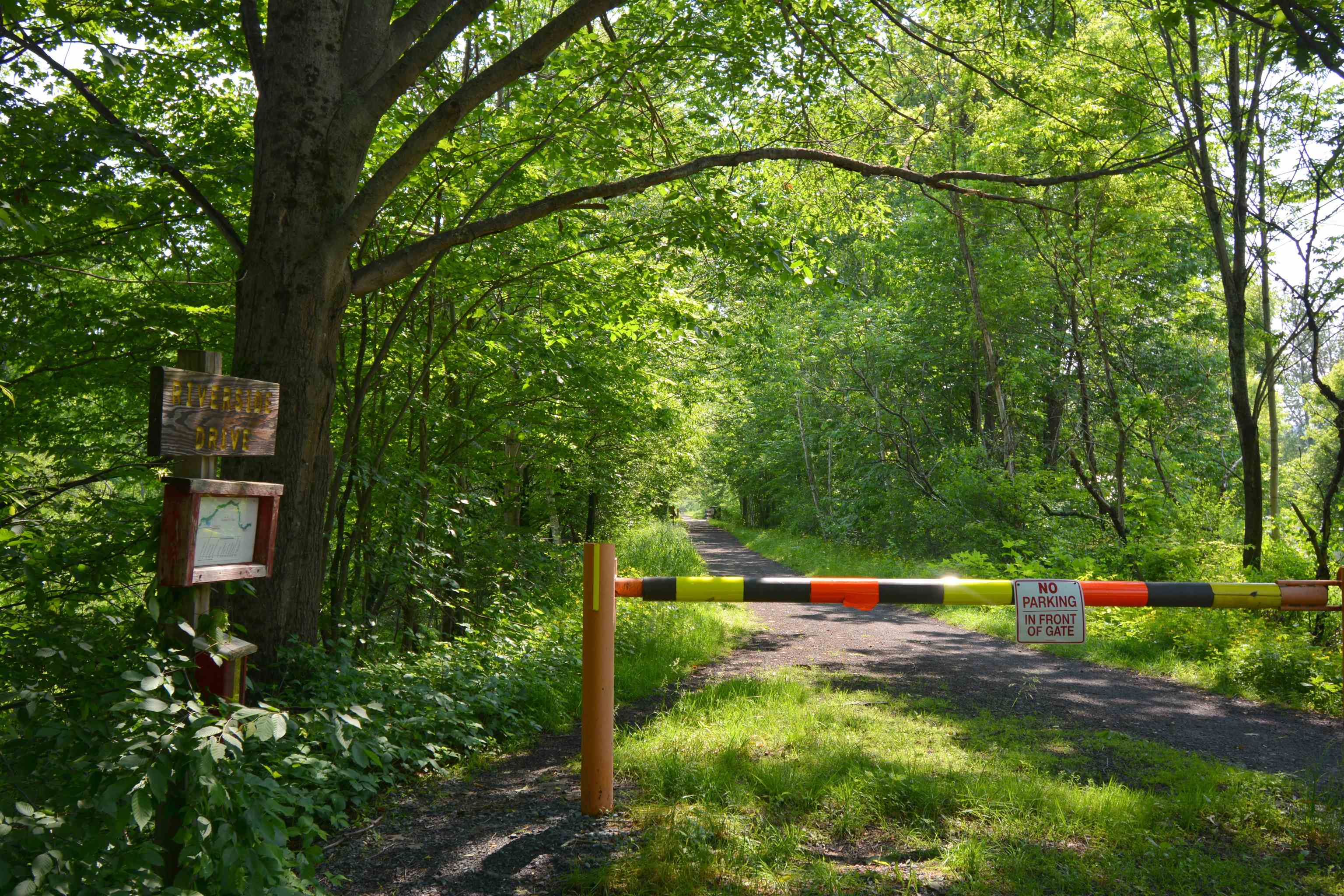 Walking, biking on the Rail Trail along the river