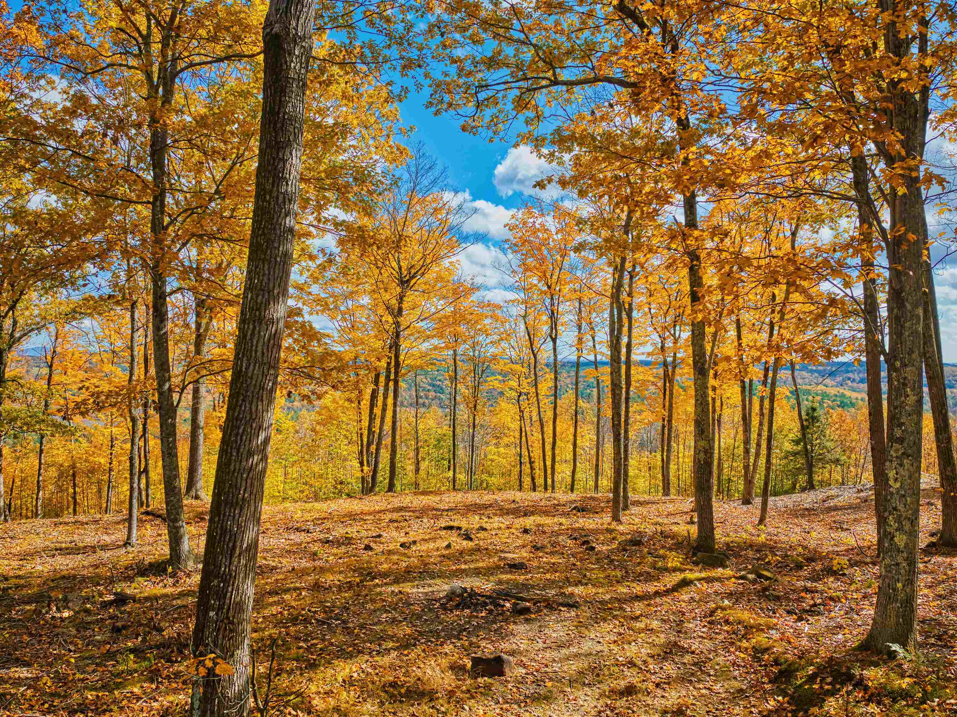 Andover NH Land for sale $$449,000 | 163 Acres  | Price Per Acre $0  | Total Lots 3