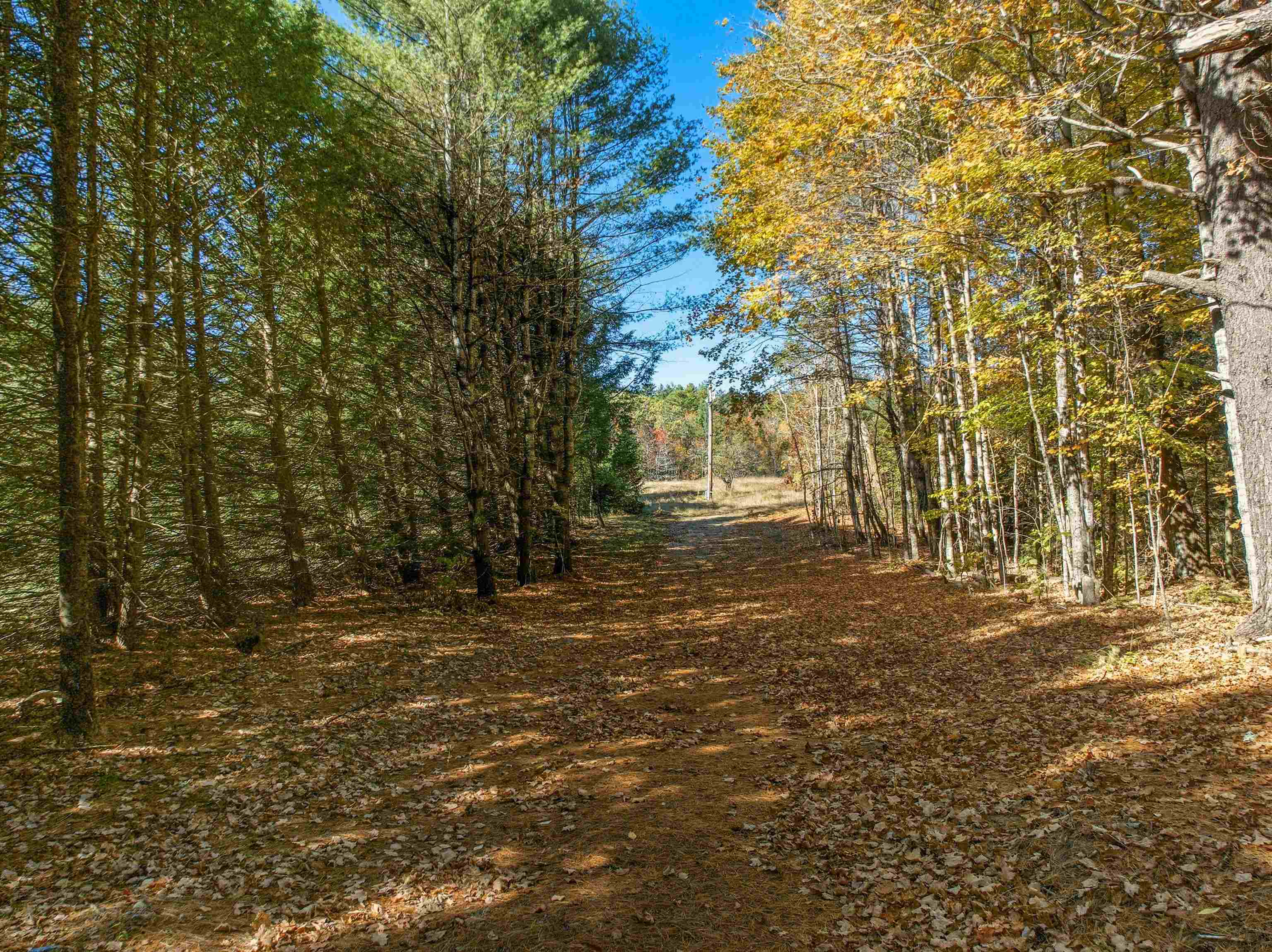 Homes for sale in Thornton, NH | 115 Adams Farm Rd, Thornton, NH 03285 | MLS# 5046389