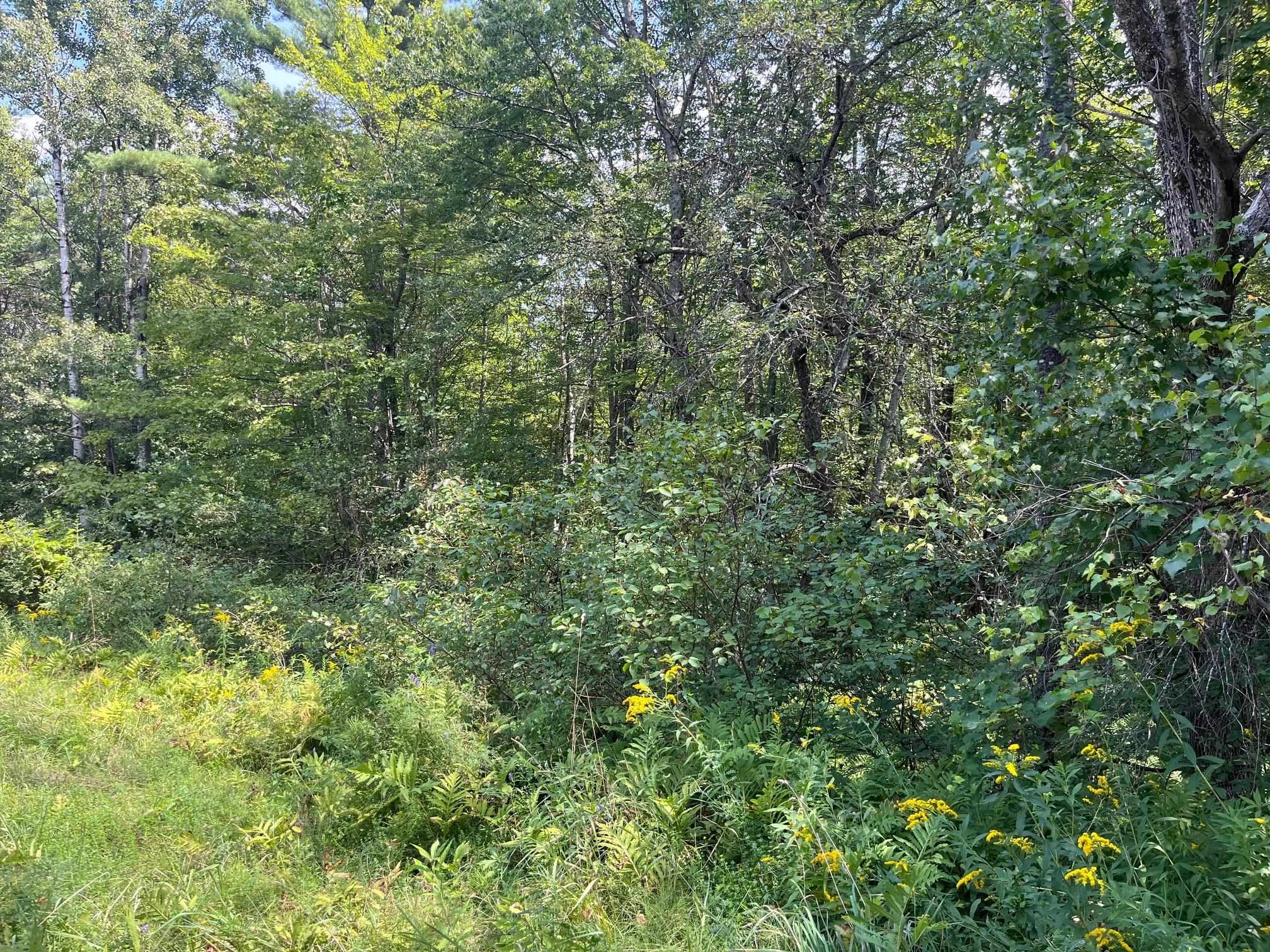 Lebanon NH Land for sale $199,000 | 3 Acres  | Price Per Acre $0 