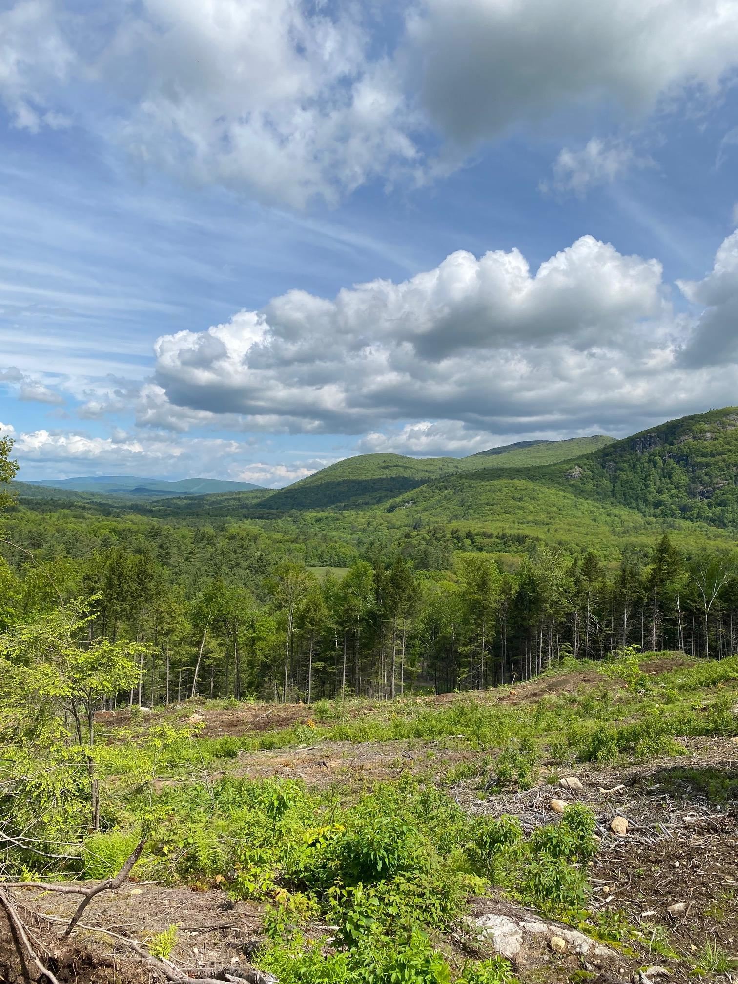 15-12-10-10 Jacob Hall Farm Rd, Rumney, NH 03266-9998