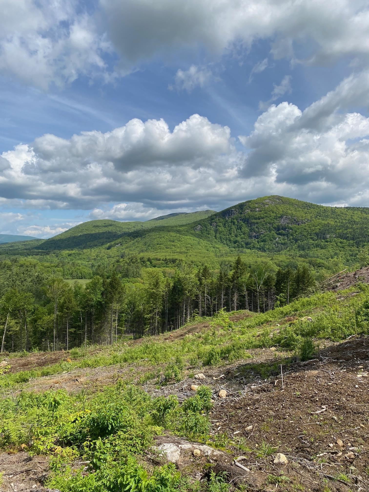 15-12-10-10 Jacob Hall Farm Rd, Rumney, NH 03266-9998