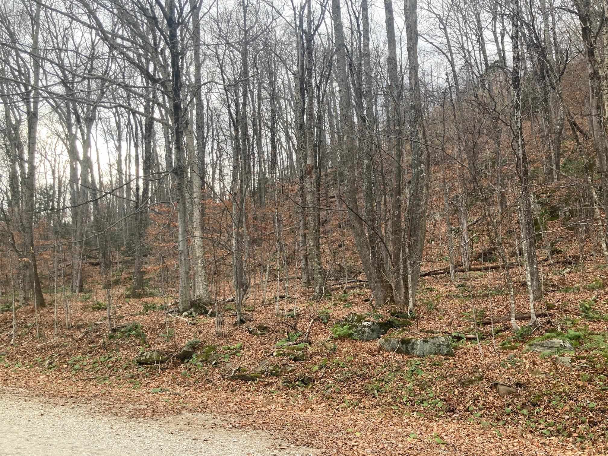 Homes for sale in Killington, VT | 0 Ledge End Rd, Killington, VT 05751 | MLS# 5046518