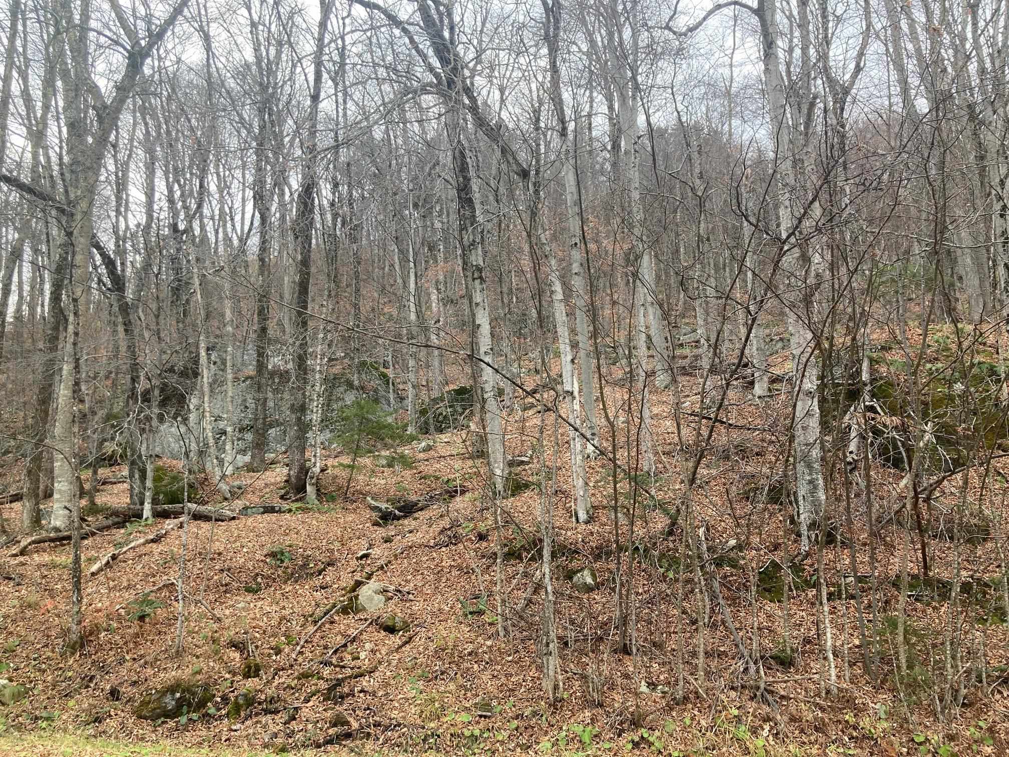 Homes for sale in Killington, VT | 0 Ledge End Rd, Killington, VT 05751 | MLS# 5046518