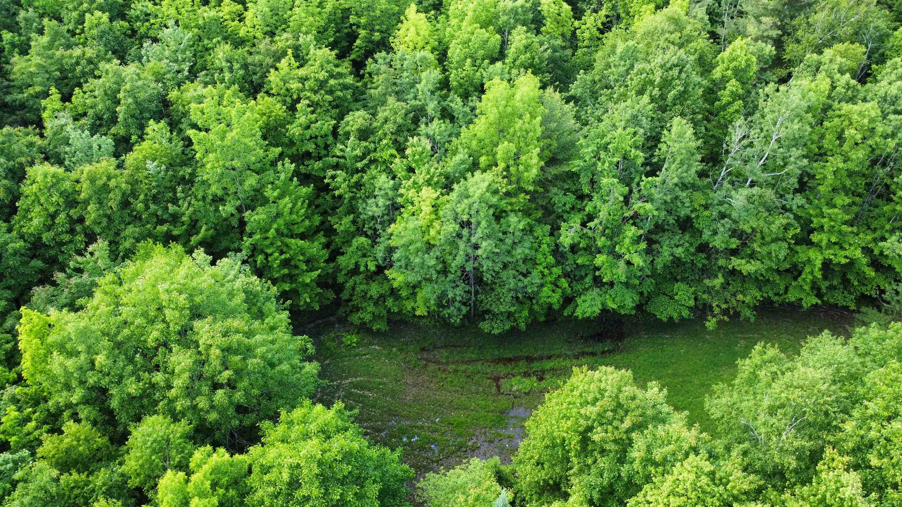 Homes for sale in Haverhill, NH | 882 Morse Rd, Haverhill, NH 03774 | MLS# 5046522