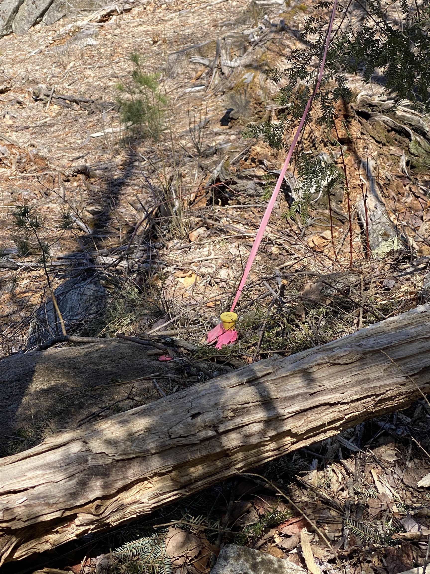 00 Marsha Dr, Alton, NH 03809