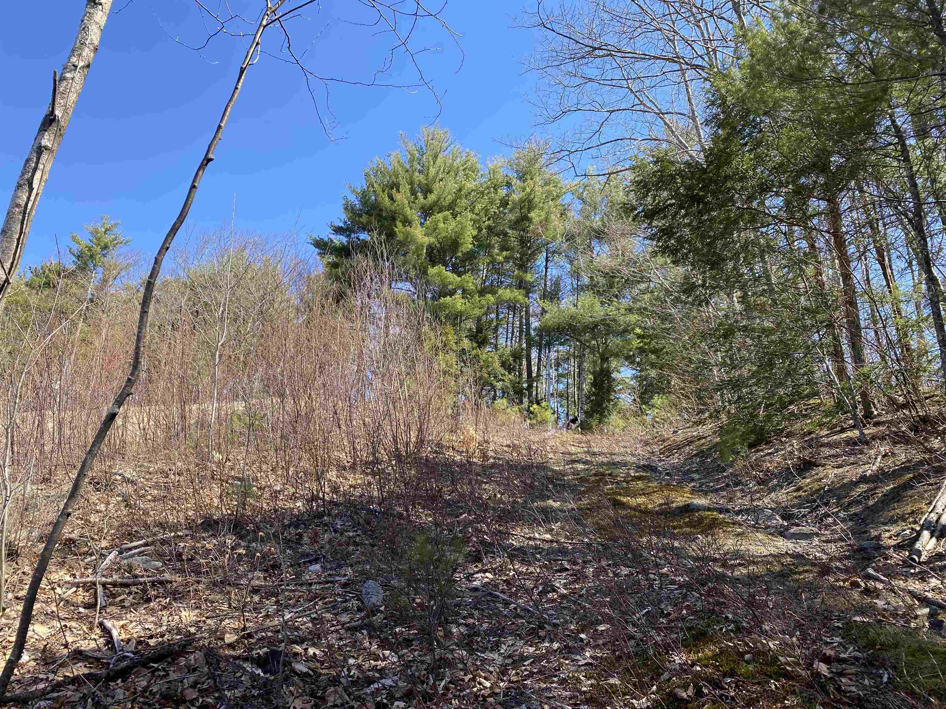 00 Marsha Dr, Alton, NH 03809