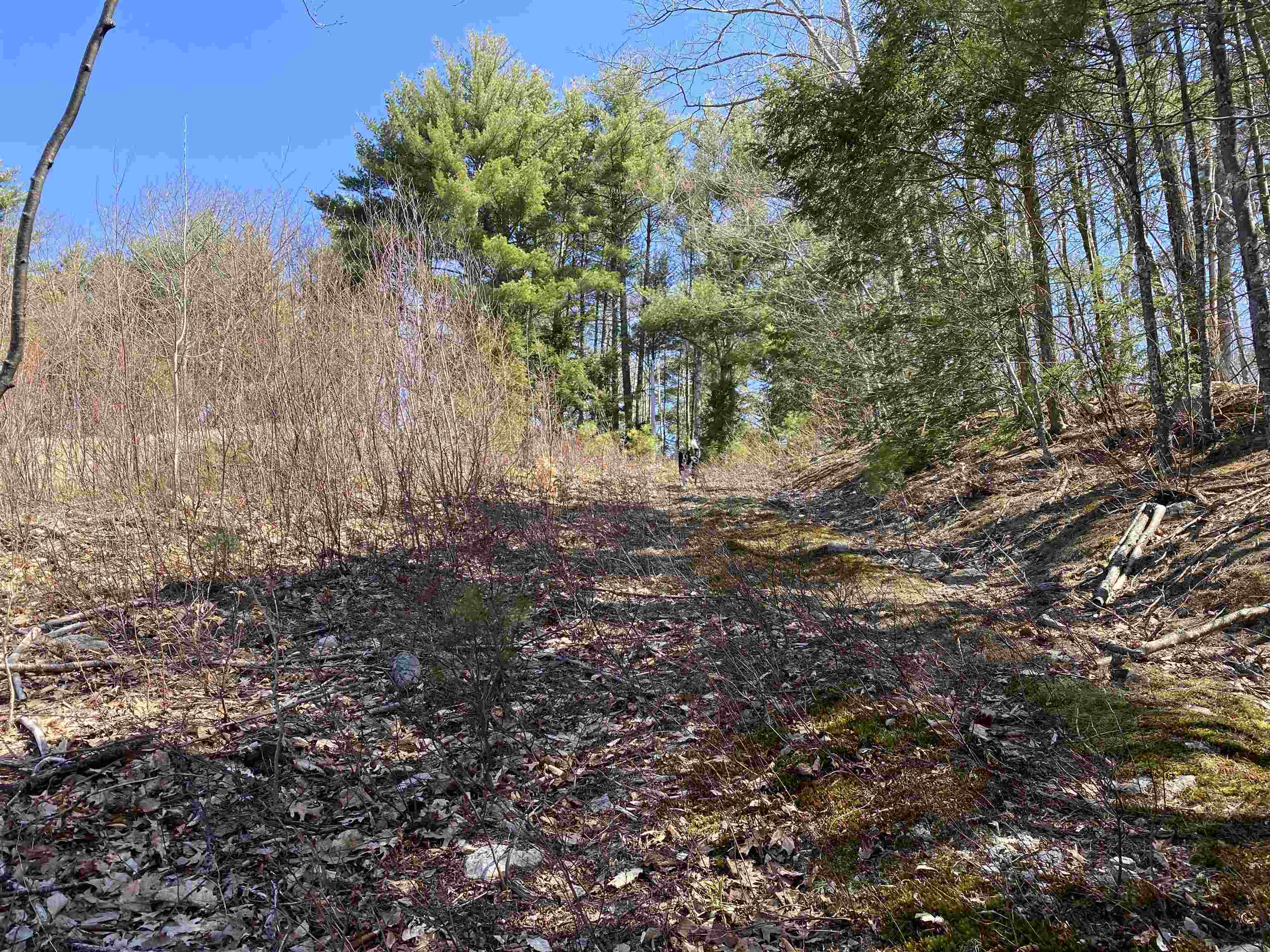 00 Marsha Dr, Alton, NH 03809