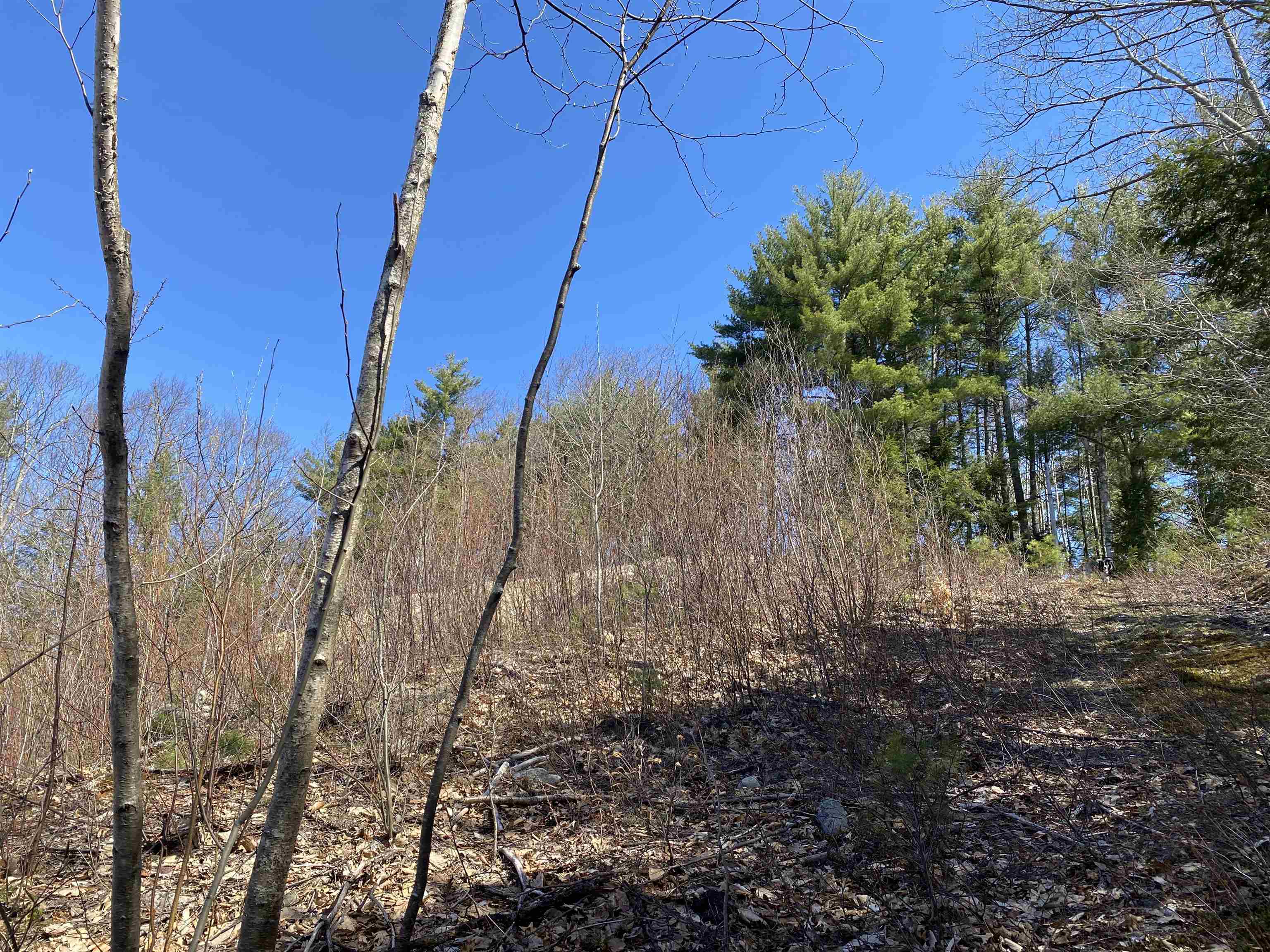 00 Marsha Dr, Alton, NH 03809