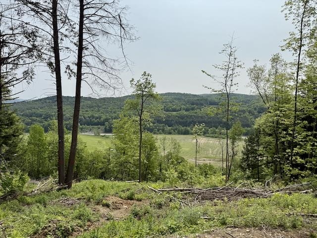 Homes for sale in Bethel, VT | Peavine Blvd, Bethel, VT 05032 | MLS# 5046570