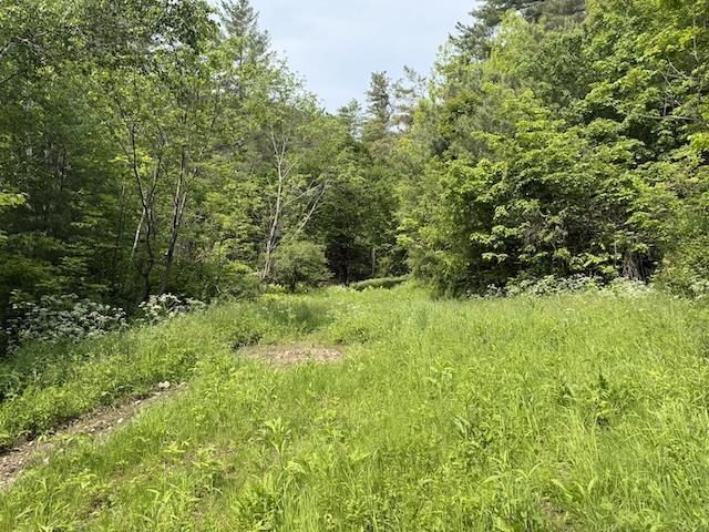 Homes for sale in Bethel, VT | Peavine Blvd, Bethel, VT 05032 | MLS# 5046570