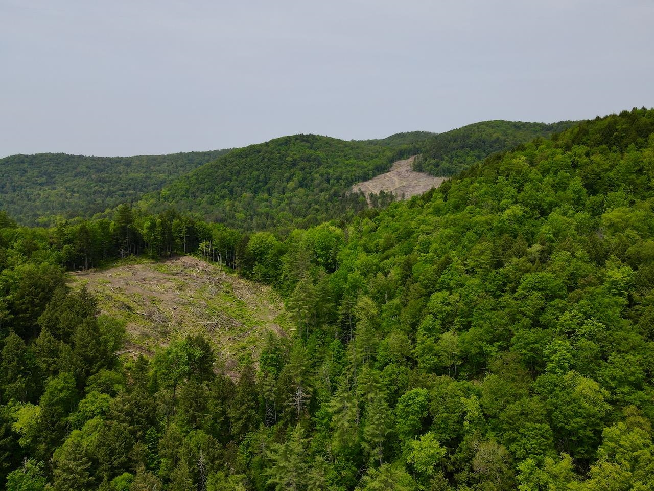 Homes for sale in Bethel, VT | Peavine Blvd, Bethel, VT 05032 | MLS# 5046570