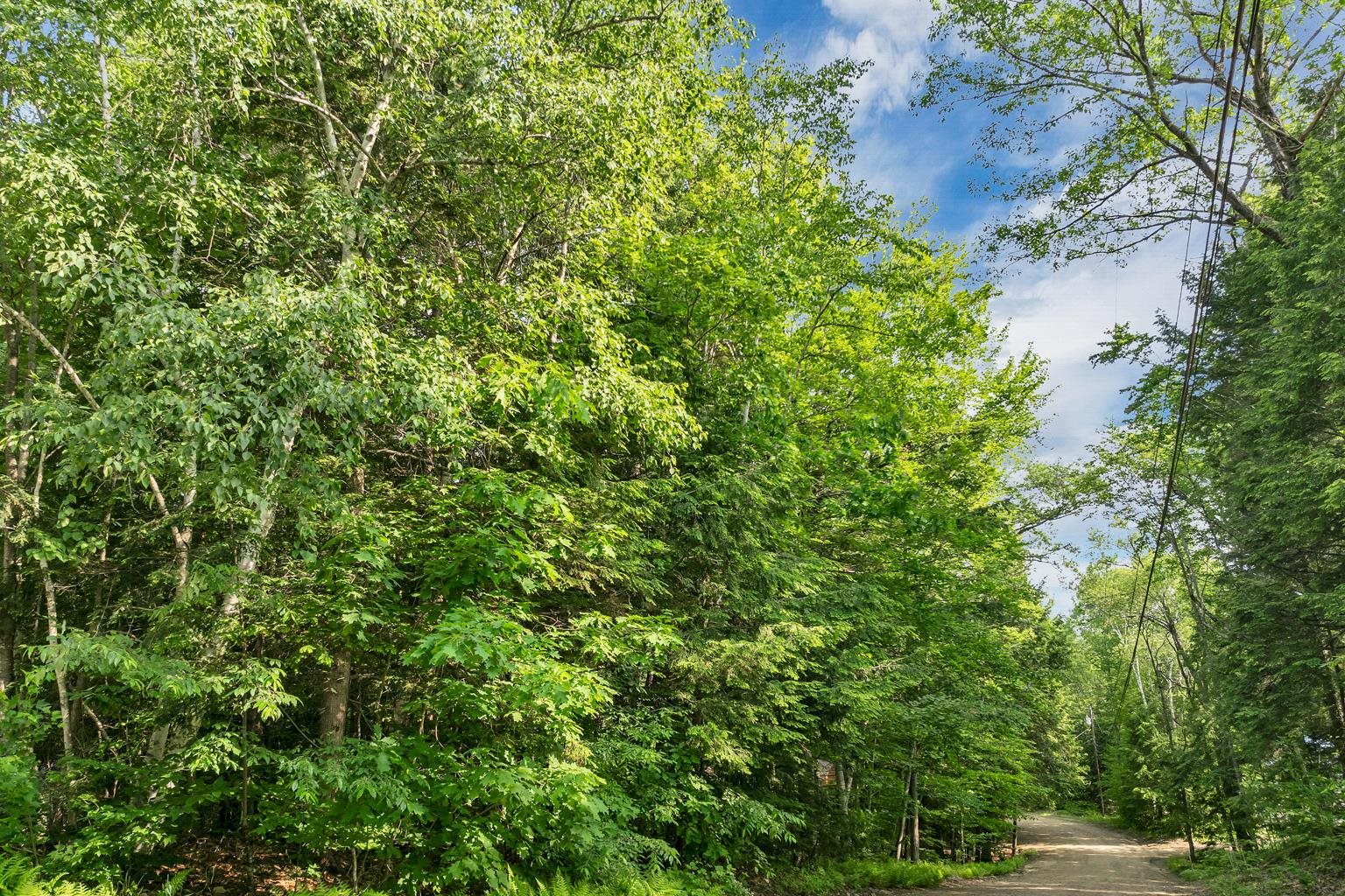 MLS #5046578 image #13