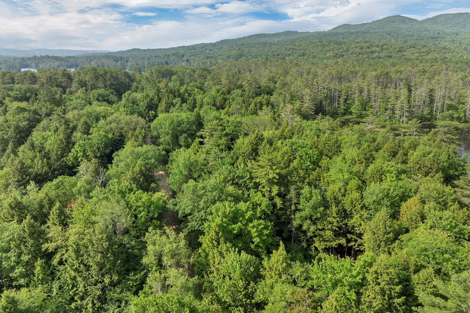 MLS #5046578 image #5