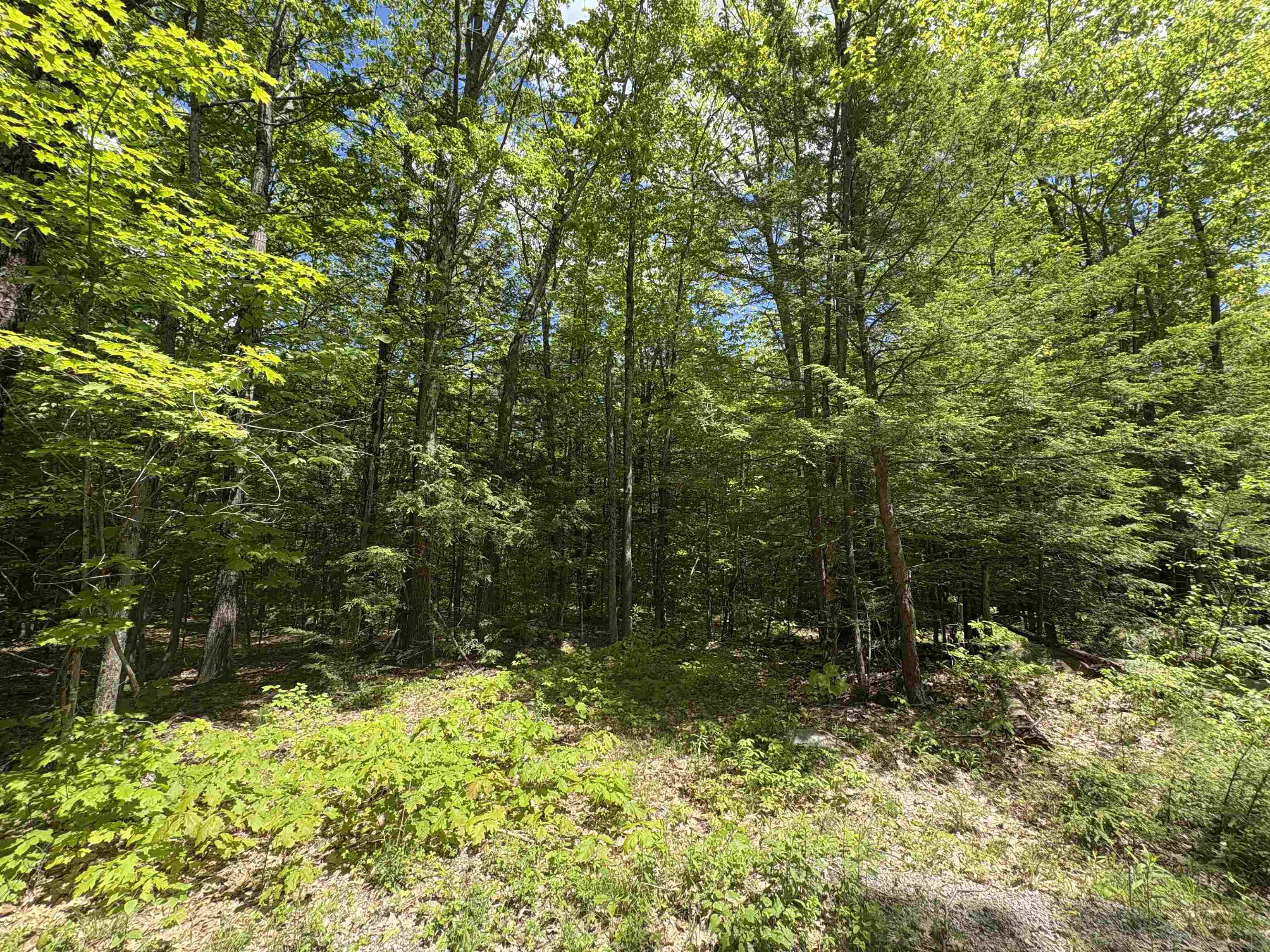 Homes for sale in Antrim, NH | Craig Rd, Antrim, NH 03440 | MLS# 5046605