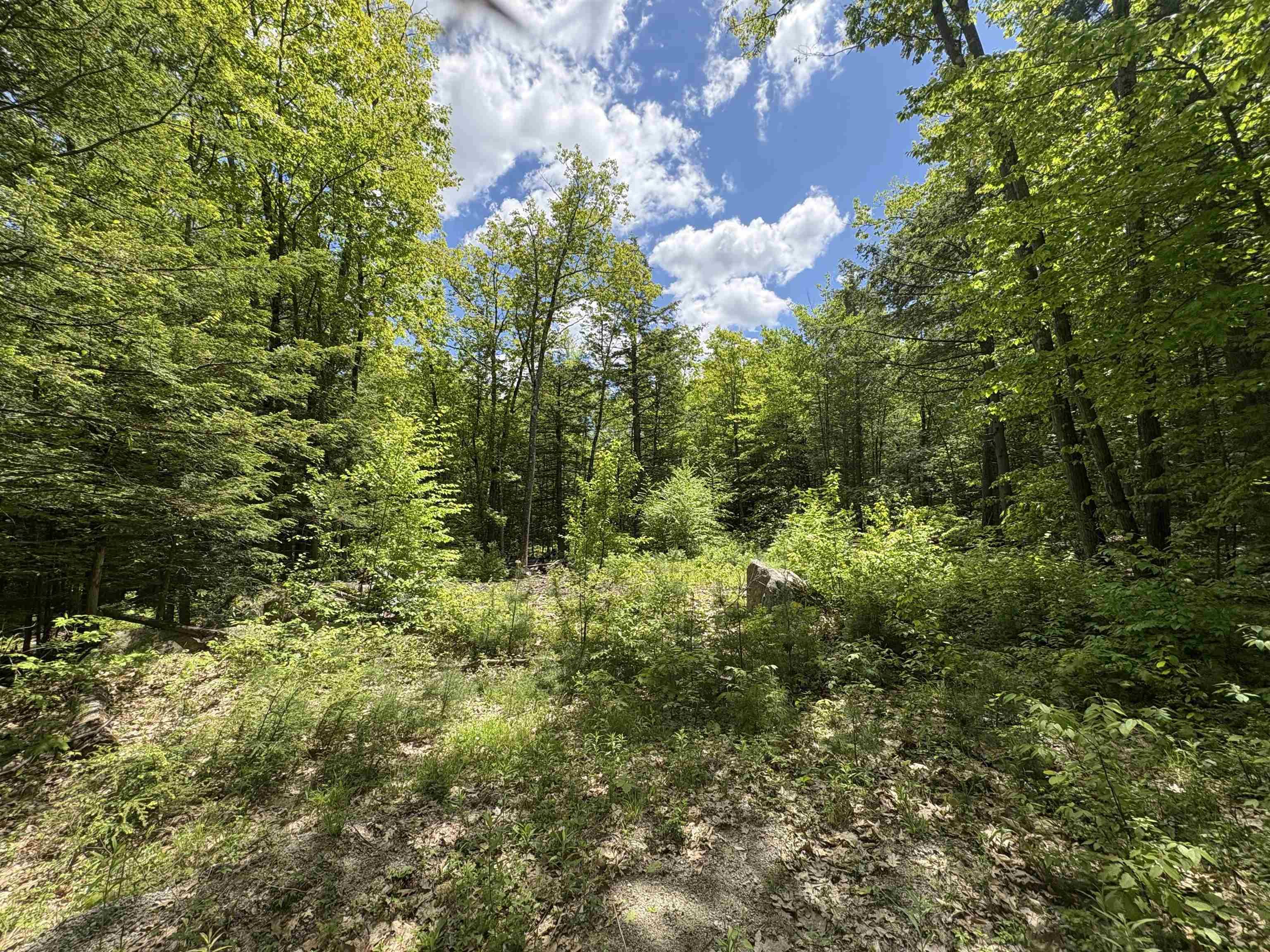 Homes for sale in Antrim, NH | Craig Rd, Antrim, NH 03440 | MLS# 5046605