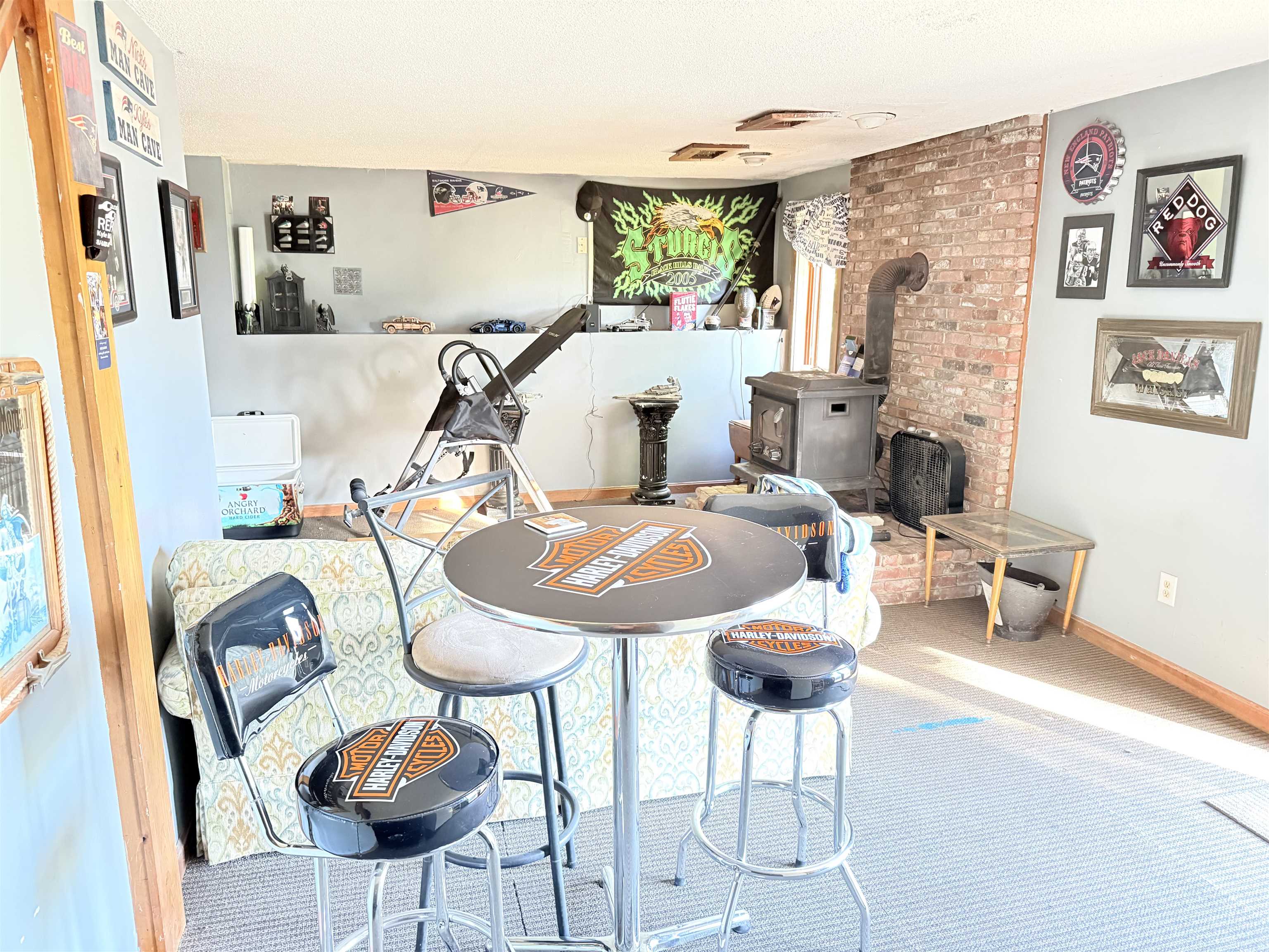 Man cave with walk out