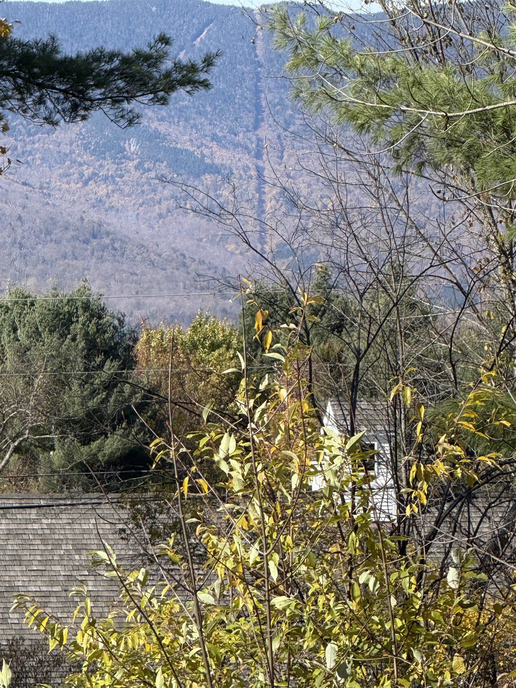 LOOKING RIGHT UP THE CASTLE ROCK LIFT LINE 24312498