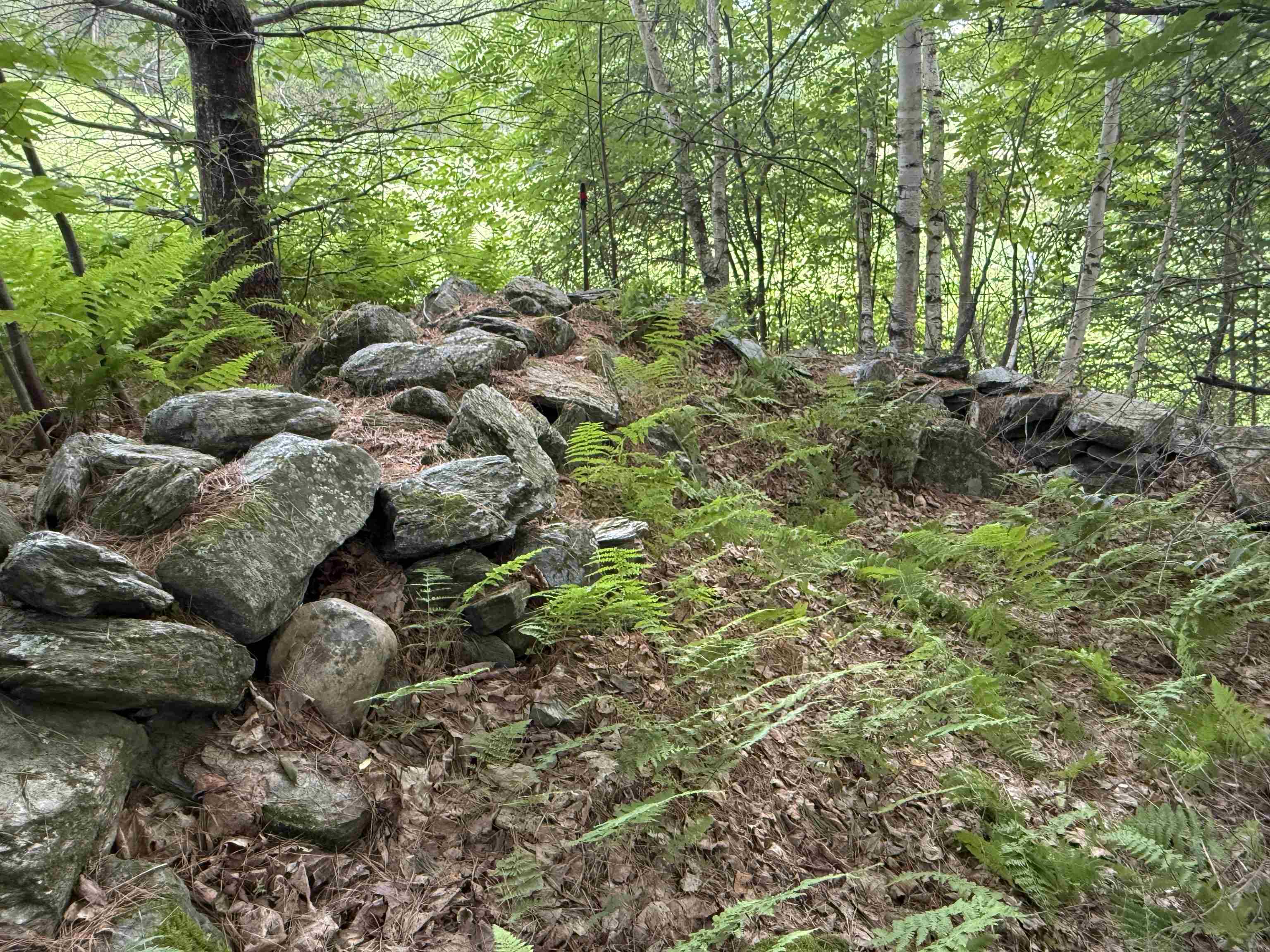 SOUTHEAST CORNER STONE WALLS 23544114