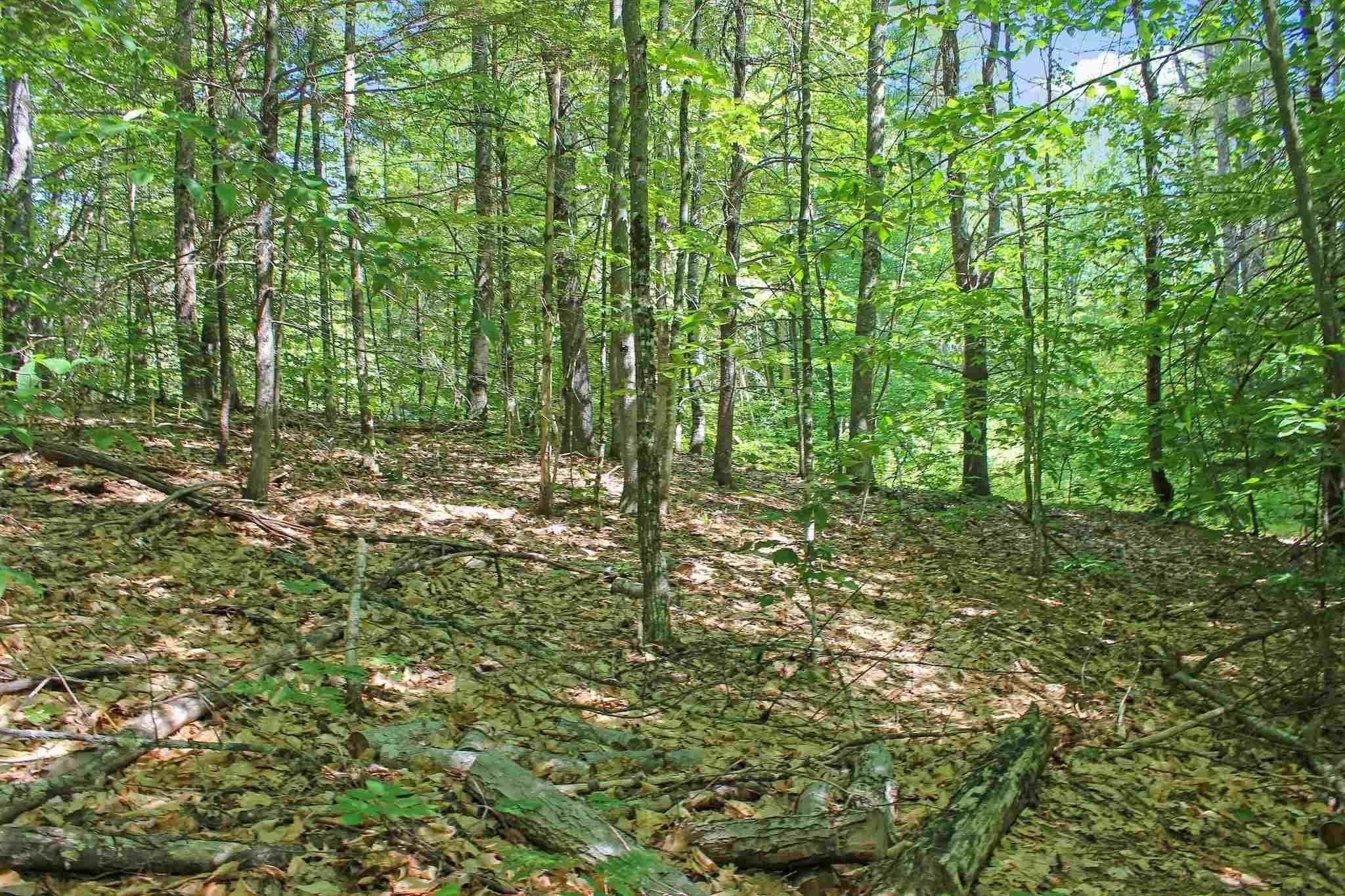 Ossipee NH Land for sale $$35,000 | 1.02 Acres  | Price Per Acre $0 