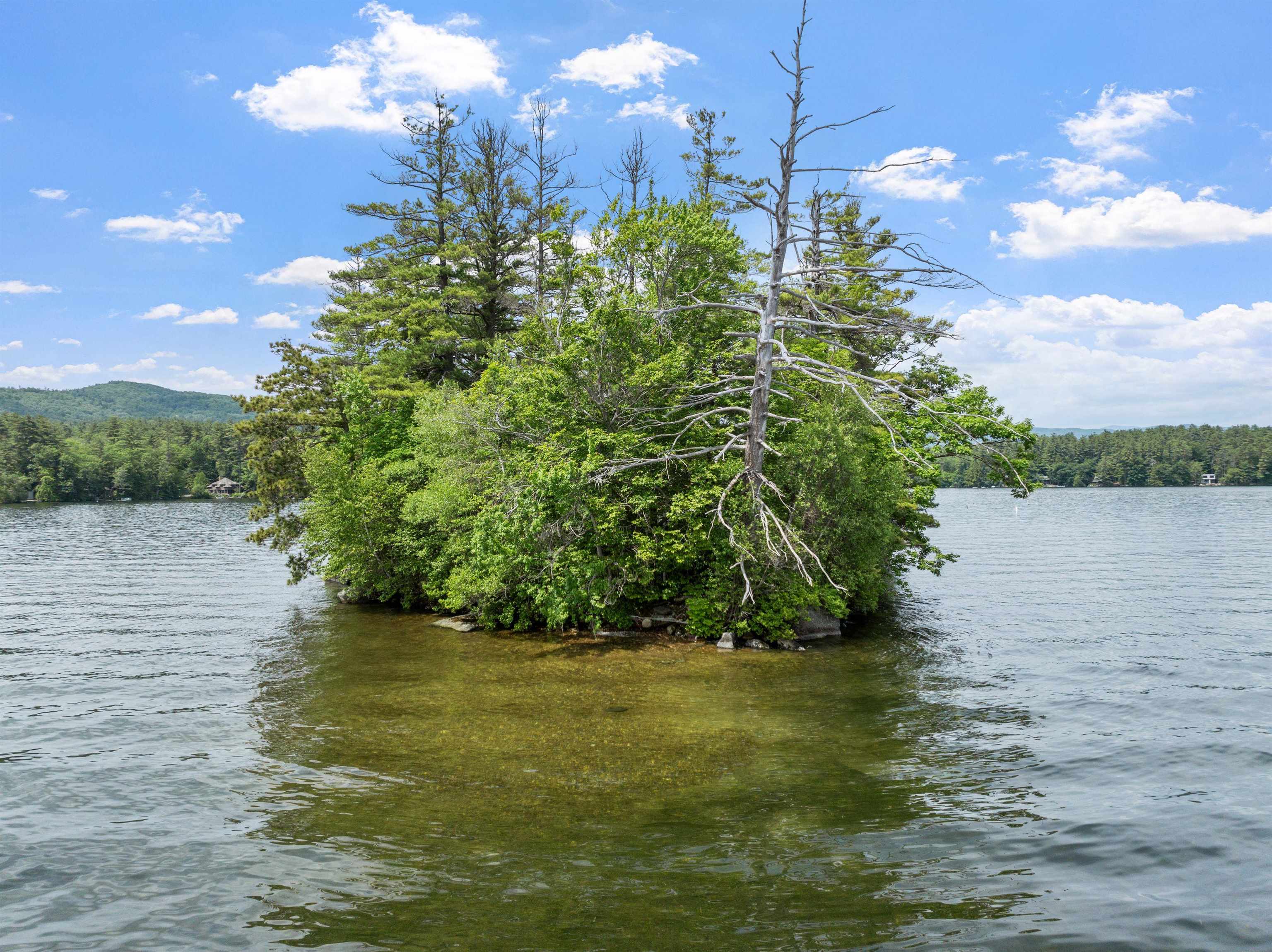 MLS #5046867 image #54