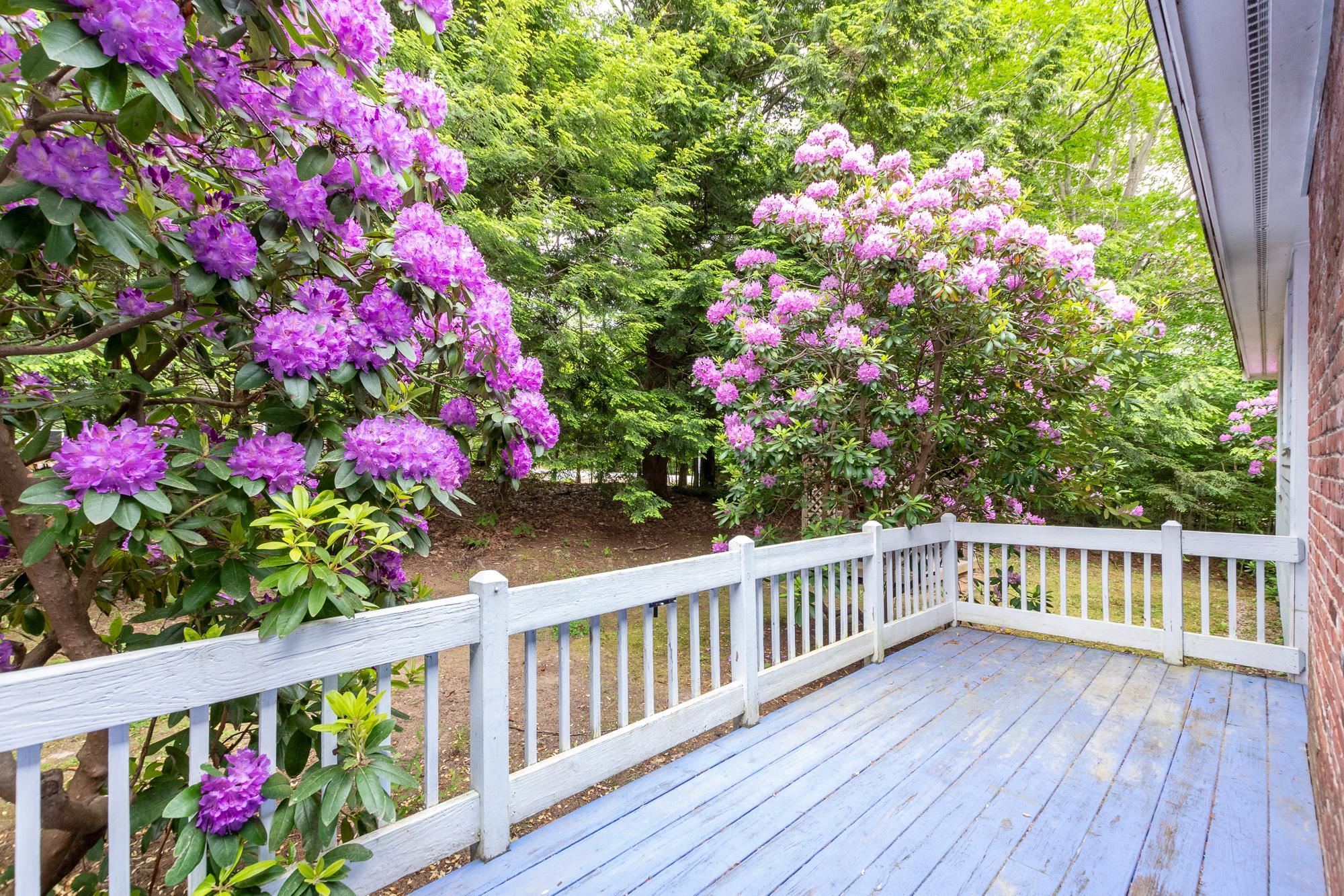 MLS #5046878 image #8