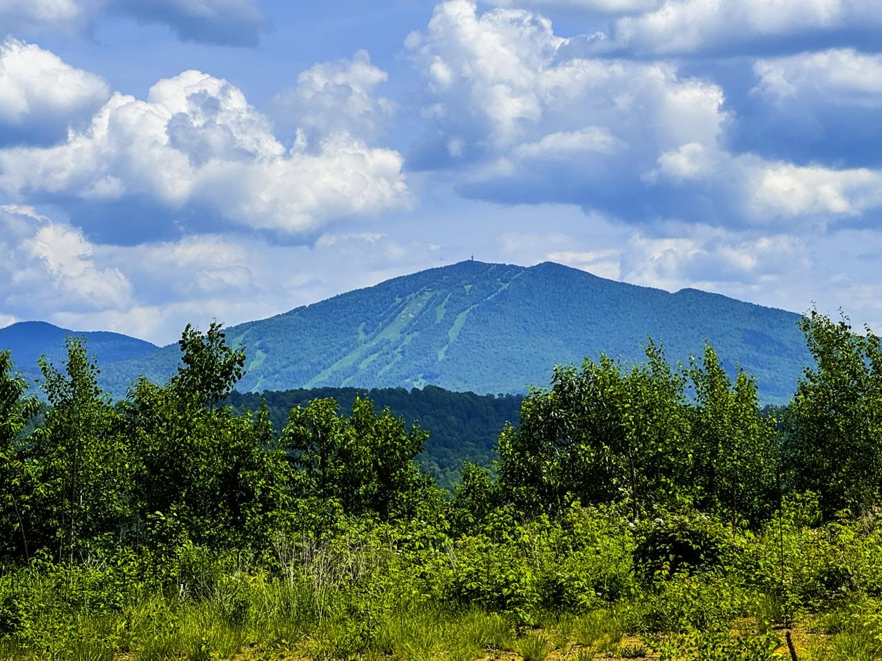 Homes for sale in Burke, VT | 0 Lynburke Rd, Burke, VT 05871 | MLS# 5046971