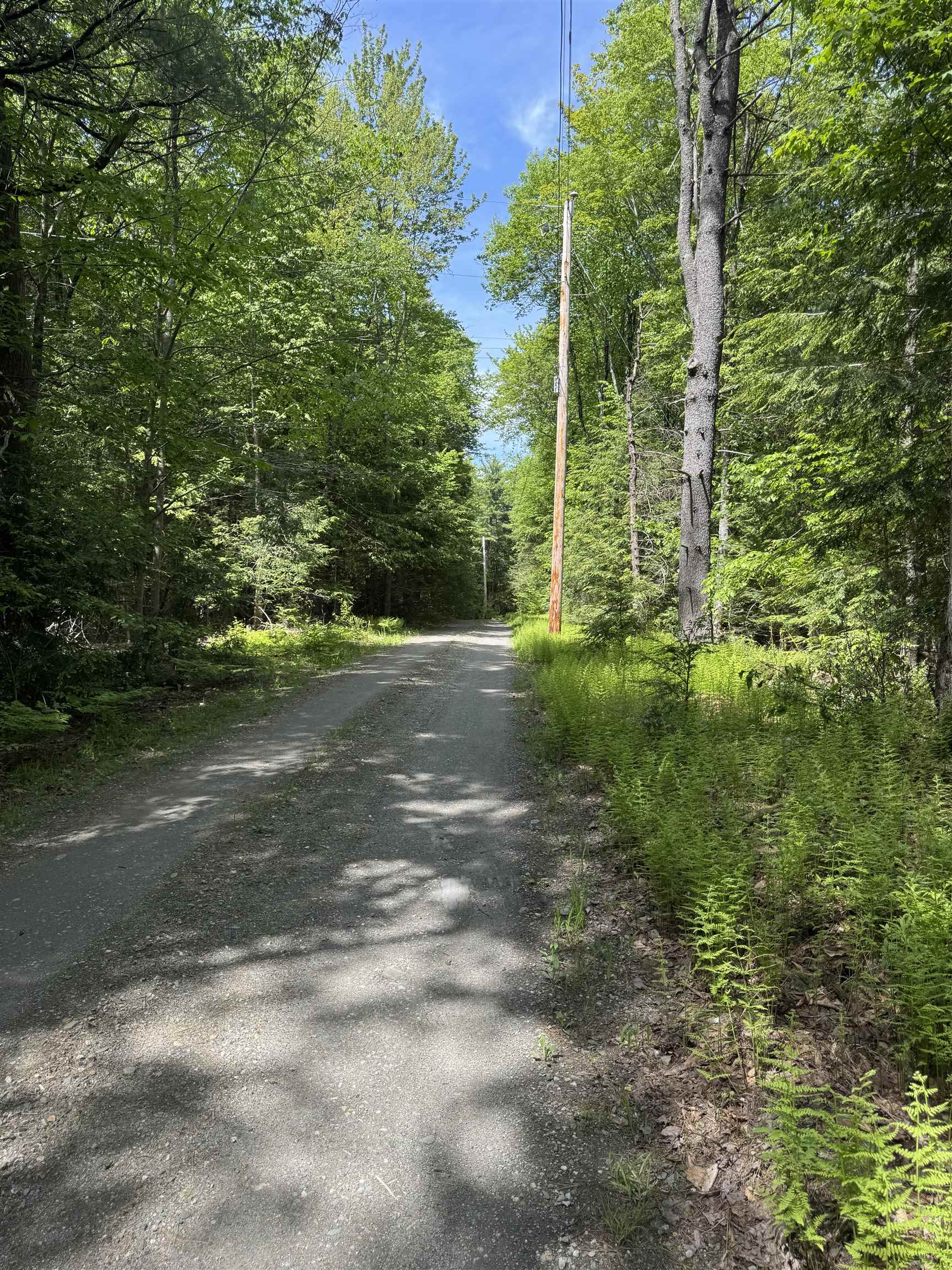 Homes for sale in Guilford, VT | 0 Melendy Hill Rd, Guilford, VT 05301 | MLS# 5046973