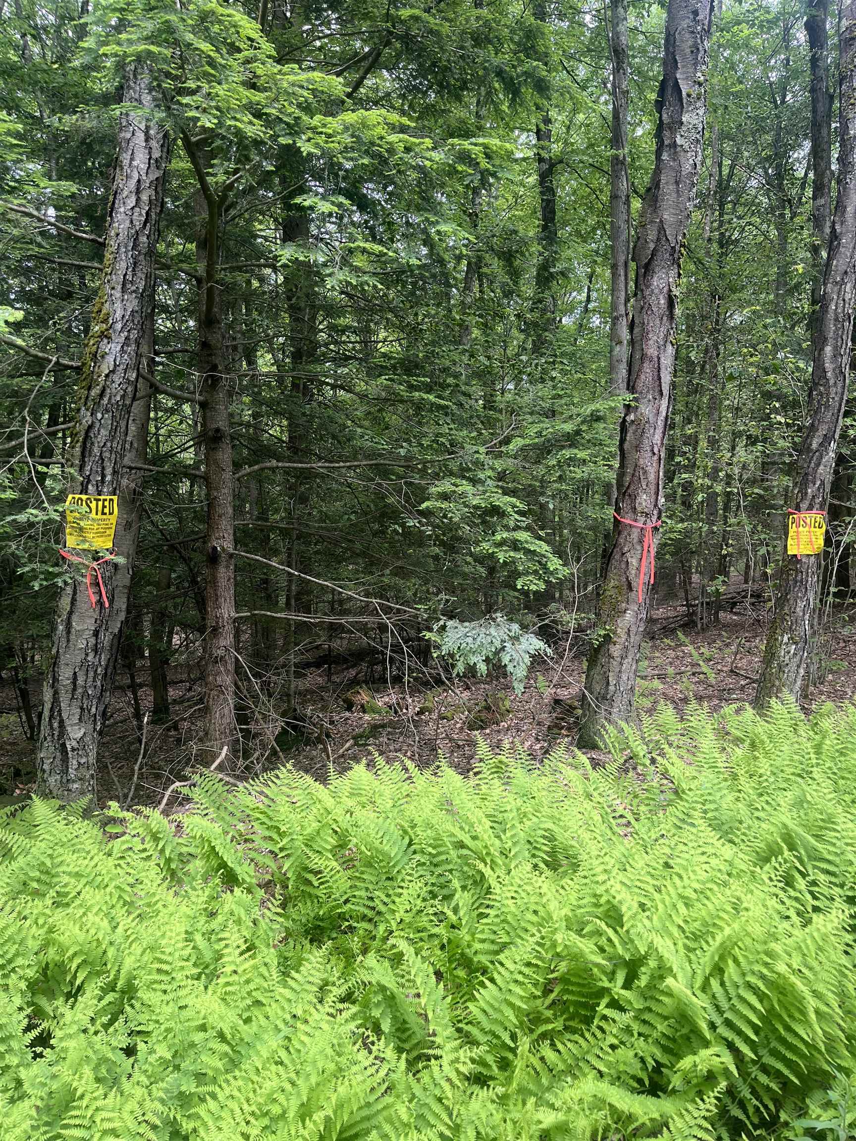 Homes for sale in Guilford, VT | 0 Melendy Hill Rd, Guilford, VT 05301 | MLS# 5046973