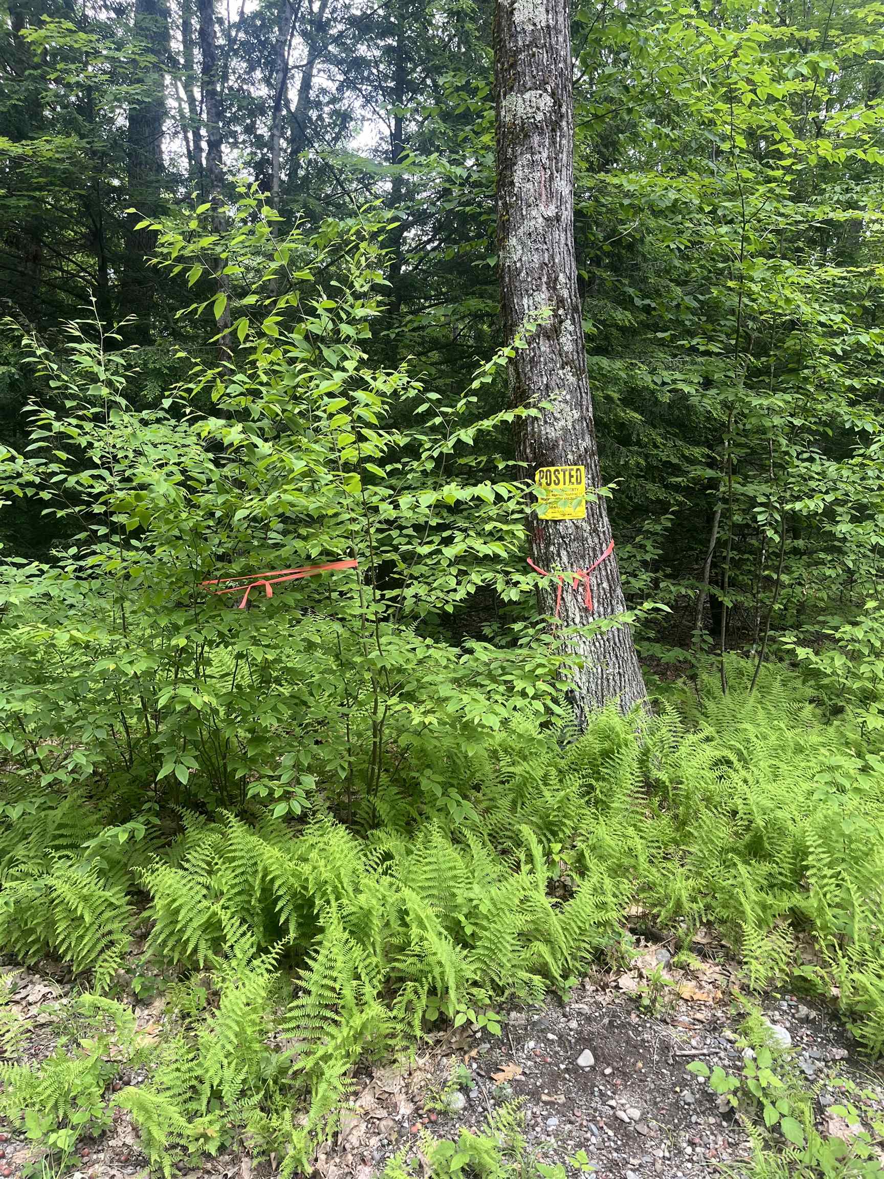 Homes for sale in Guilford, VT | 0 Melendy Hill Rd, Guilford, VT 05301 | MLS# 5046973