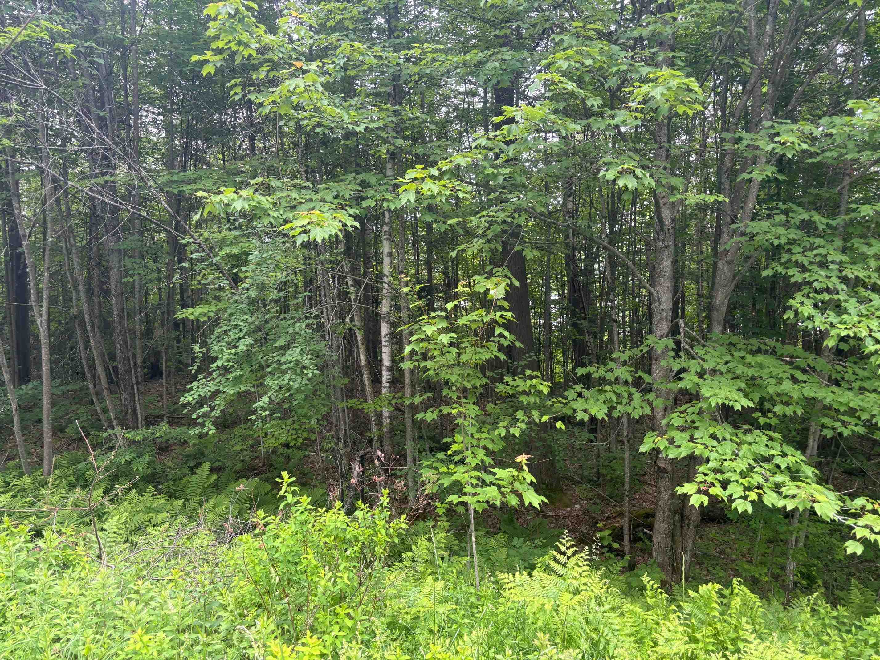 Homes for sale in Brighton, VT | 00 Vt Route 105, Brighton, VT 05846 | MLS# 5046996